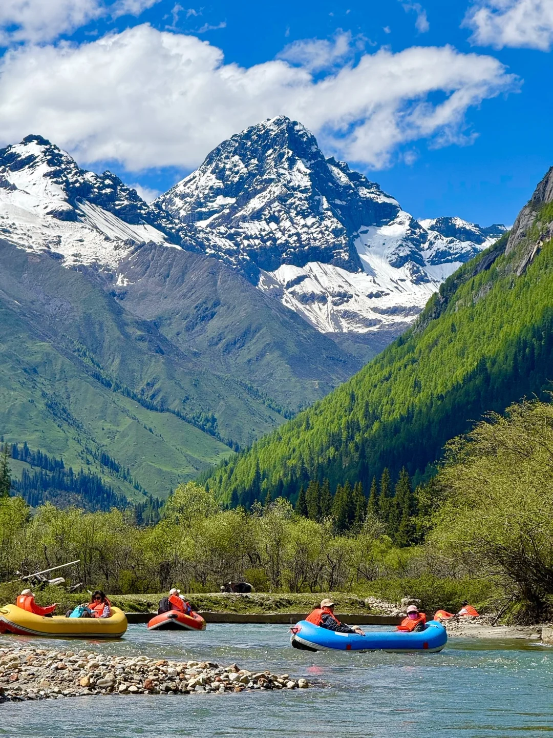 雪山下的松弛感真的可以封神。。。。全live