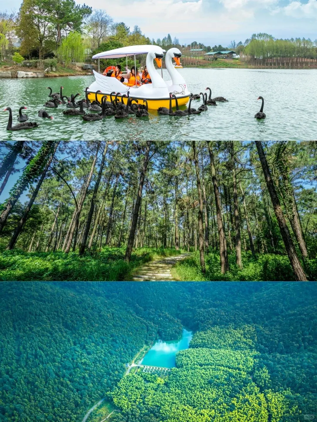 在常州❗避暑➕玩水一站式搞定有多爽❗