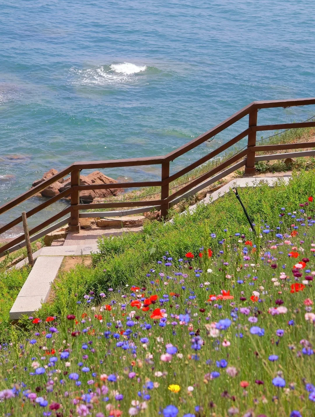 别再乱搜啦!这才是青岛旅游天花板攻略