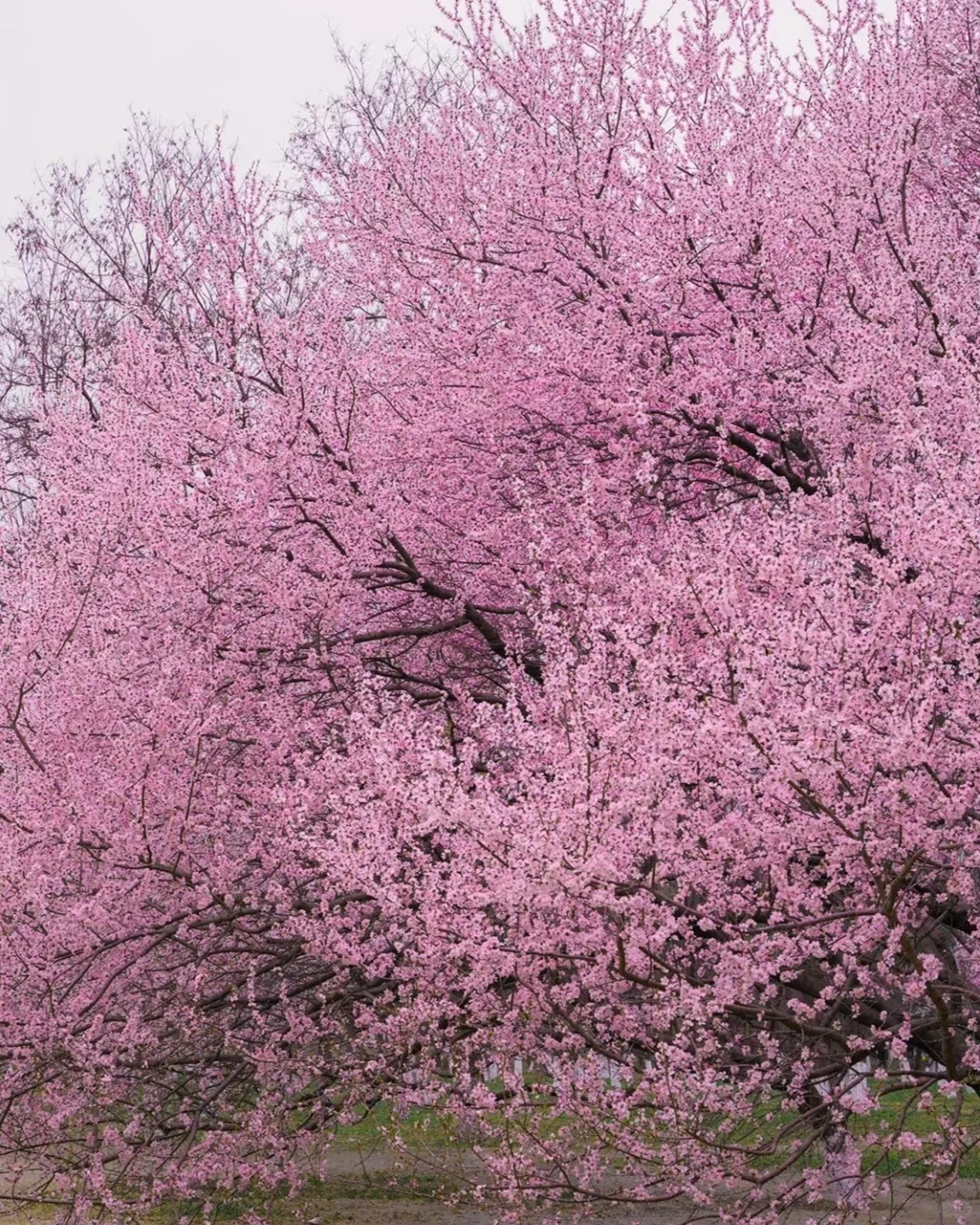 北京5天4晚超值游：1000+元就能搞定！