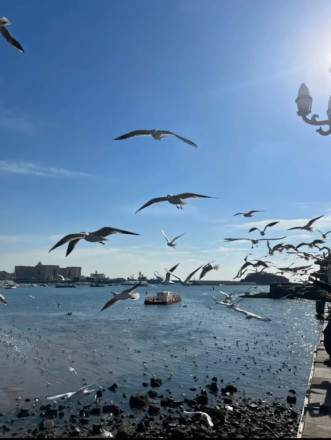 别再乱搜啦!这才是青岛旅游天花板攻略