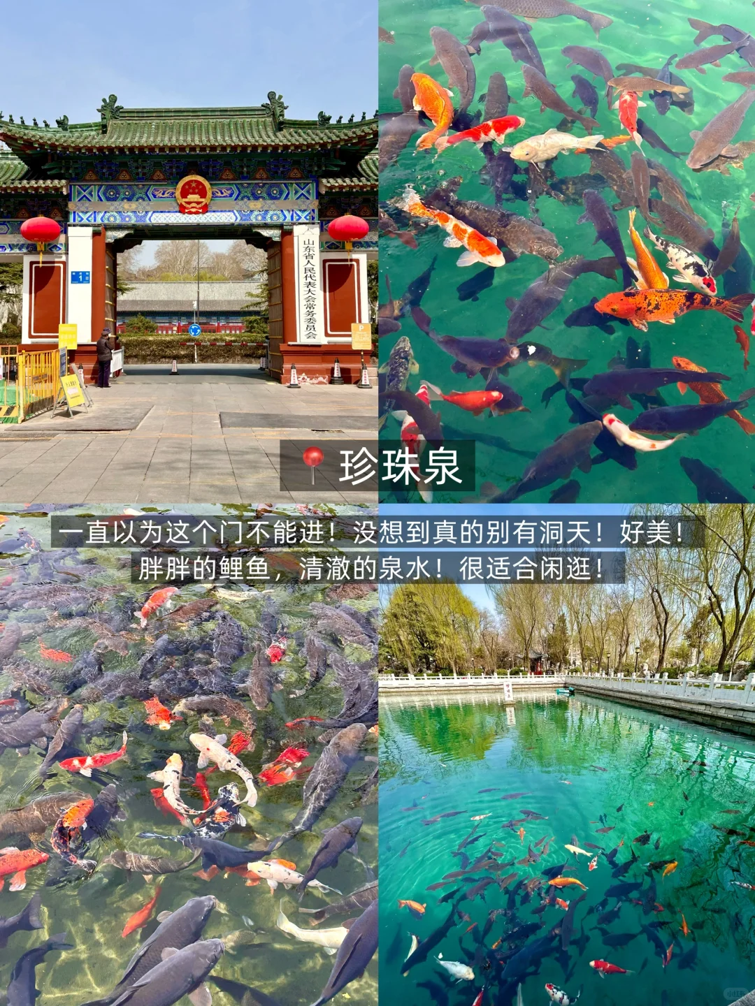 📍济南｜两天一晚保姆级旅游攻略（附位置