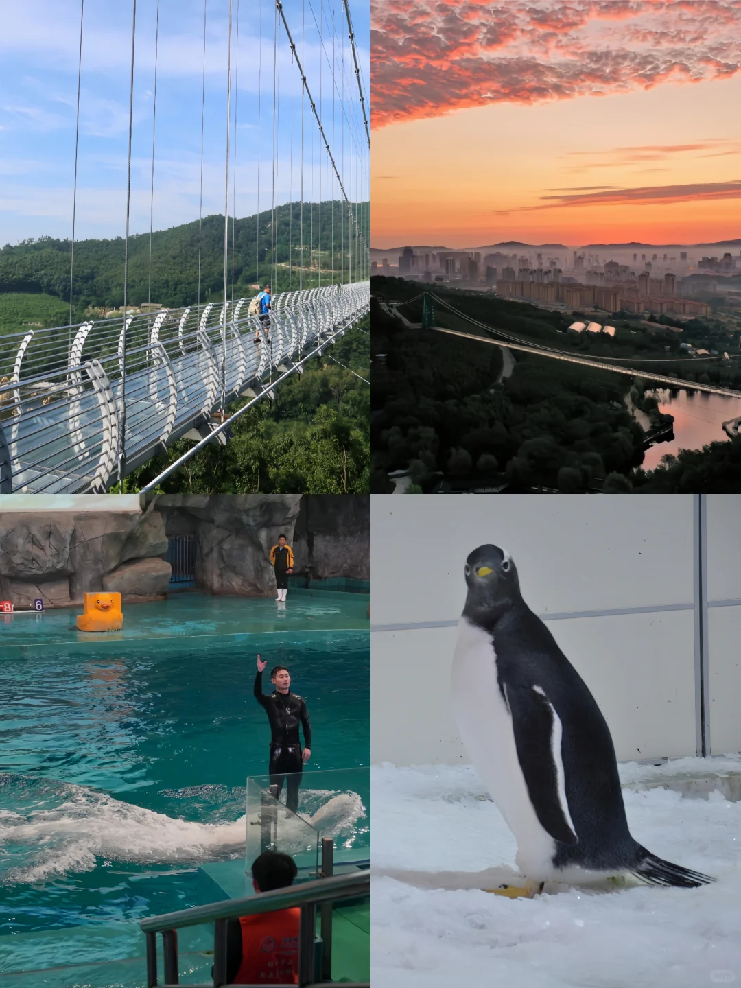 大二学生穷游威海|三天两夜全包700💰