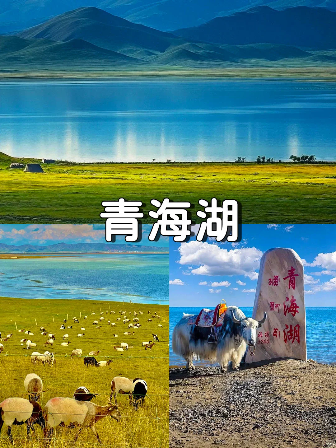青海甘肃之旅，目睹地理书上的大西北⛰️