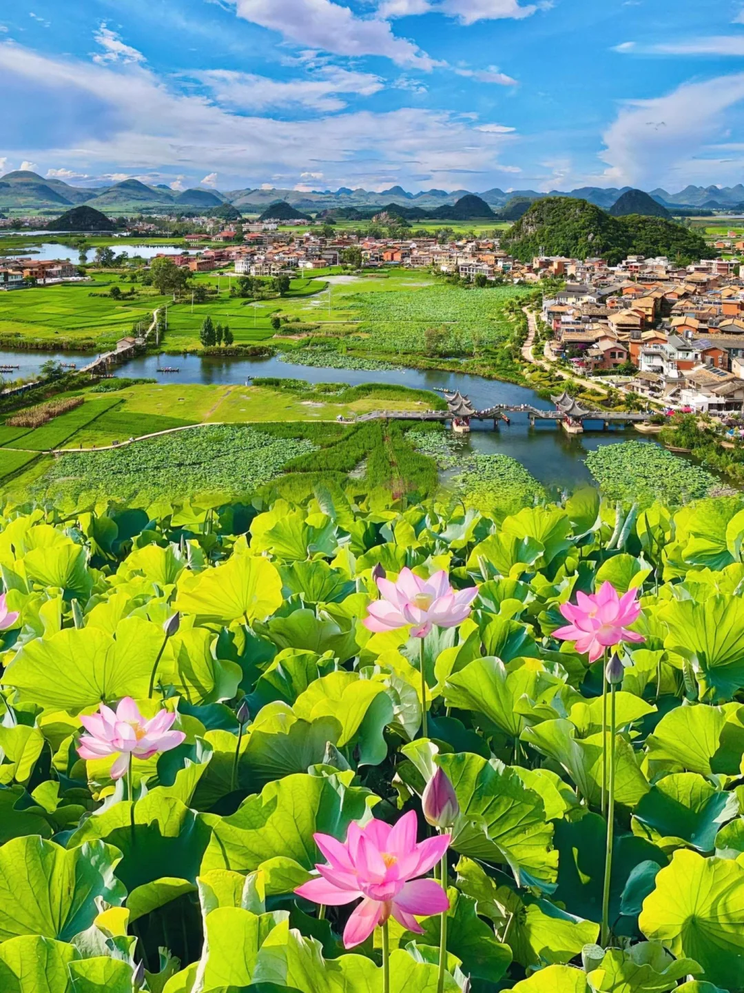 放弃大理了，暑假冲24°C的弥勒，人少景还美！