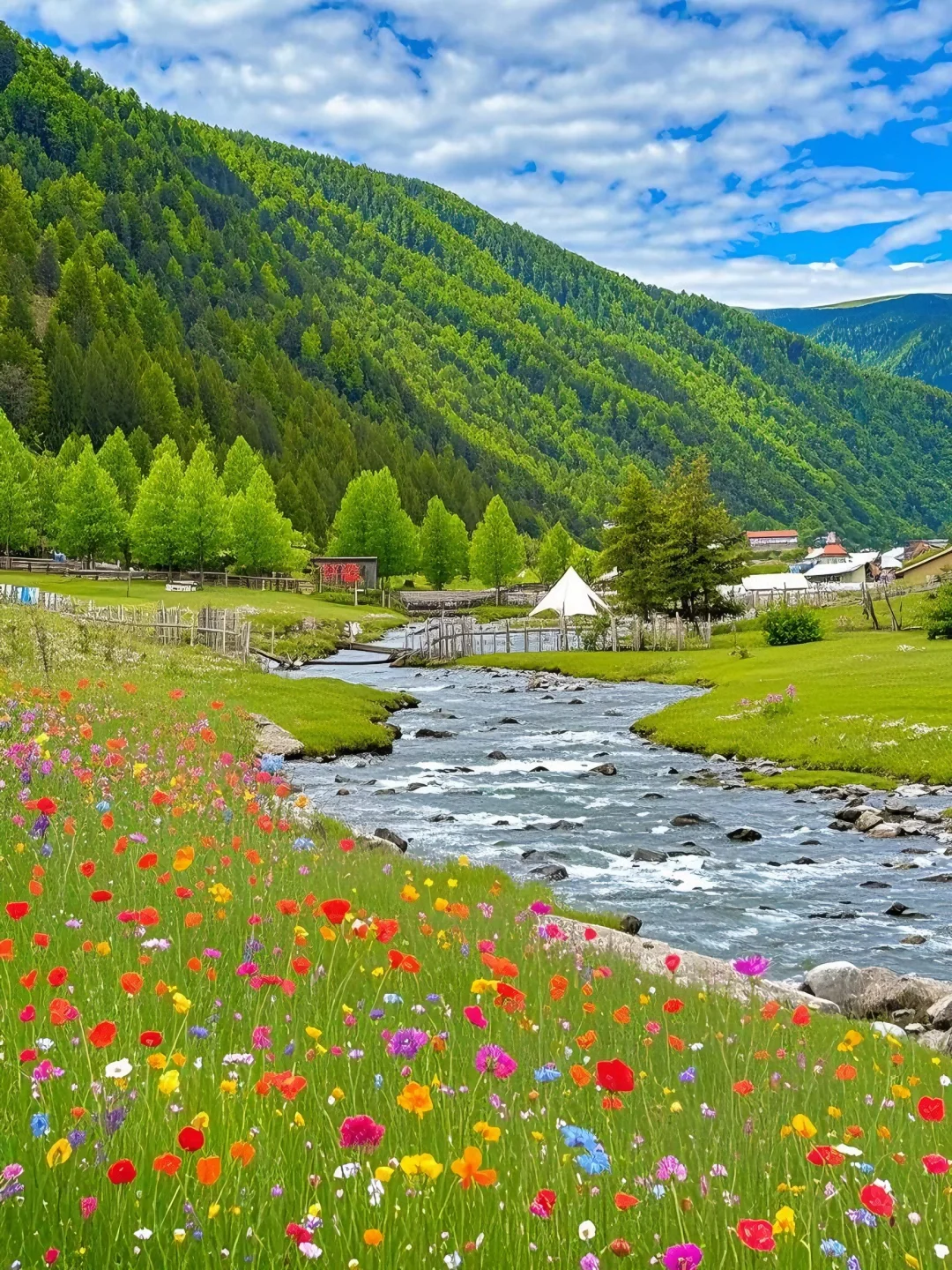 不在瑞士...6-8月的川西🏔️!!💐美到失语….