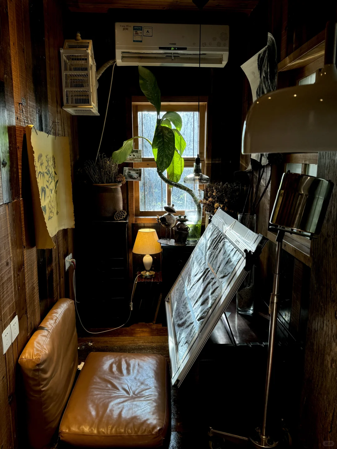 在厦门！！花1r能呆一下午的漂亮地方🌱……