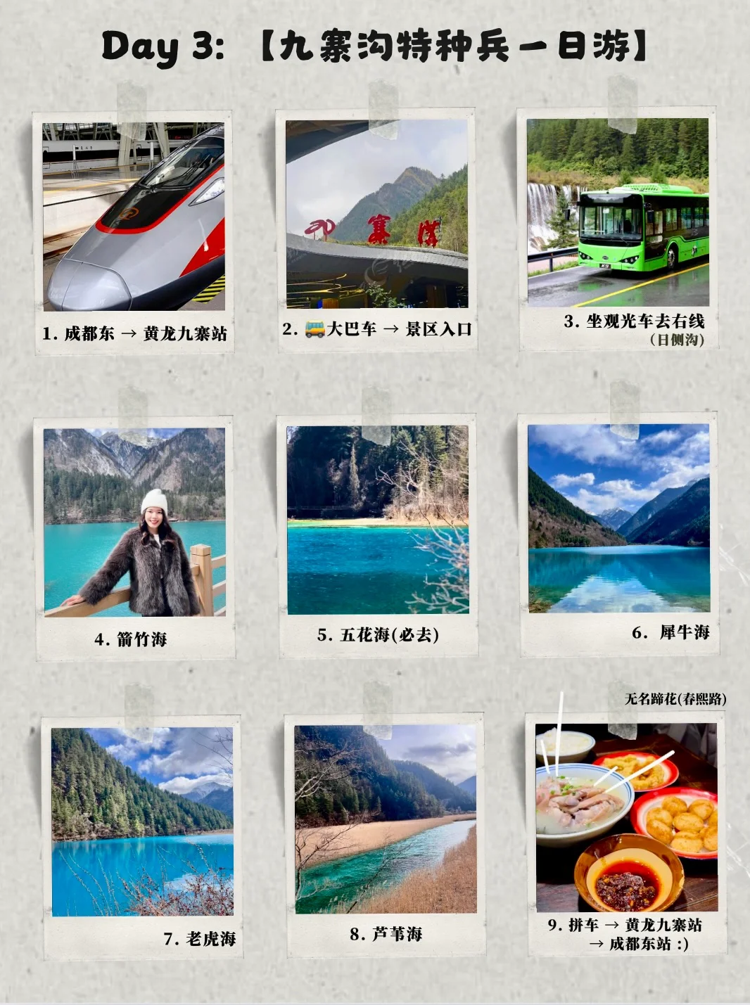 🇲🇾🇨🇳 J人爆肝‼️人均2k+成都九寨沟重庆！