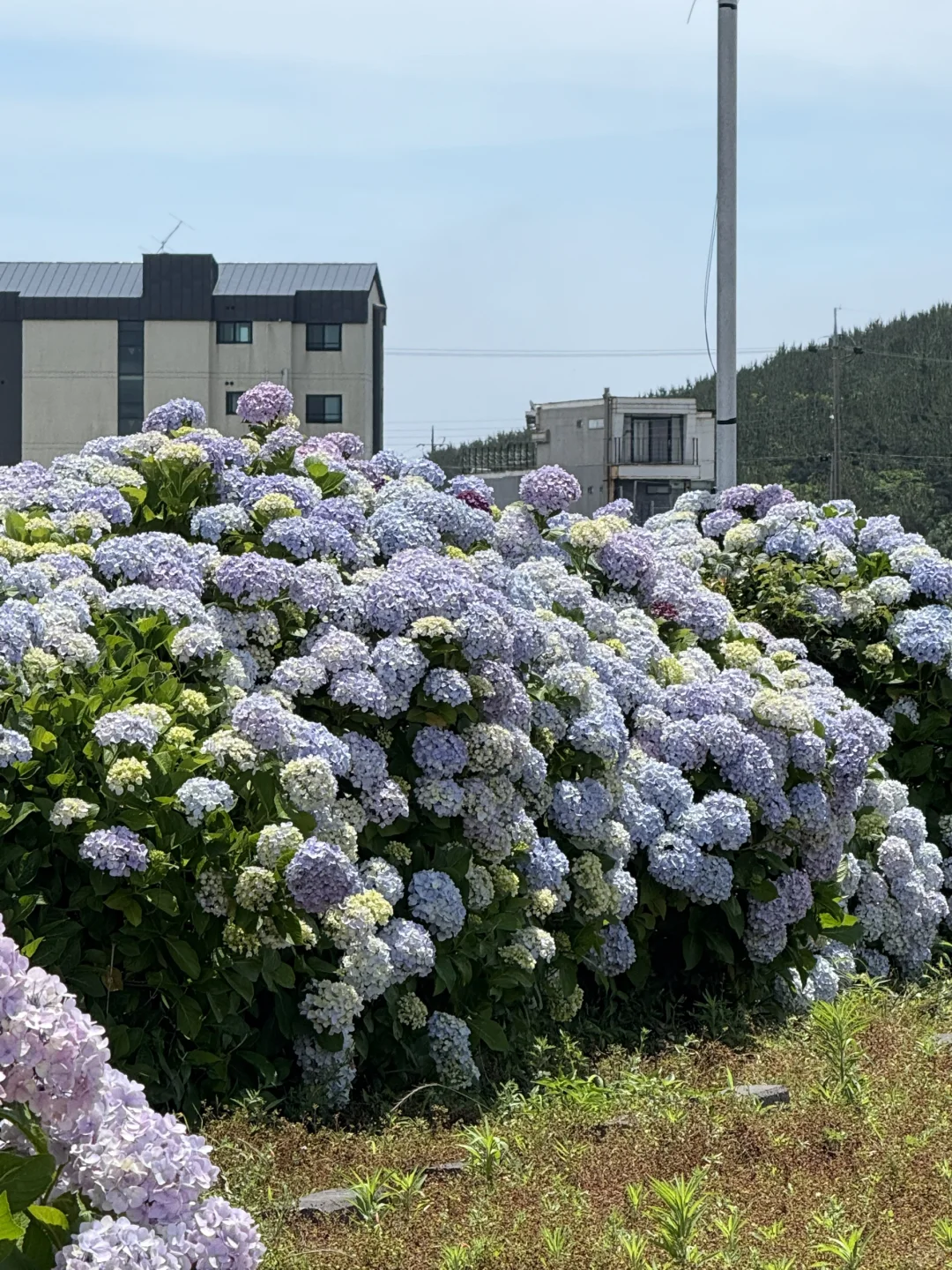 牛岛一定要做好防晒！！另外一日游团感受