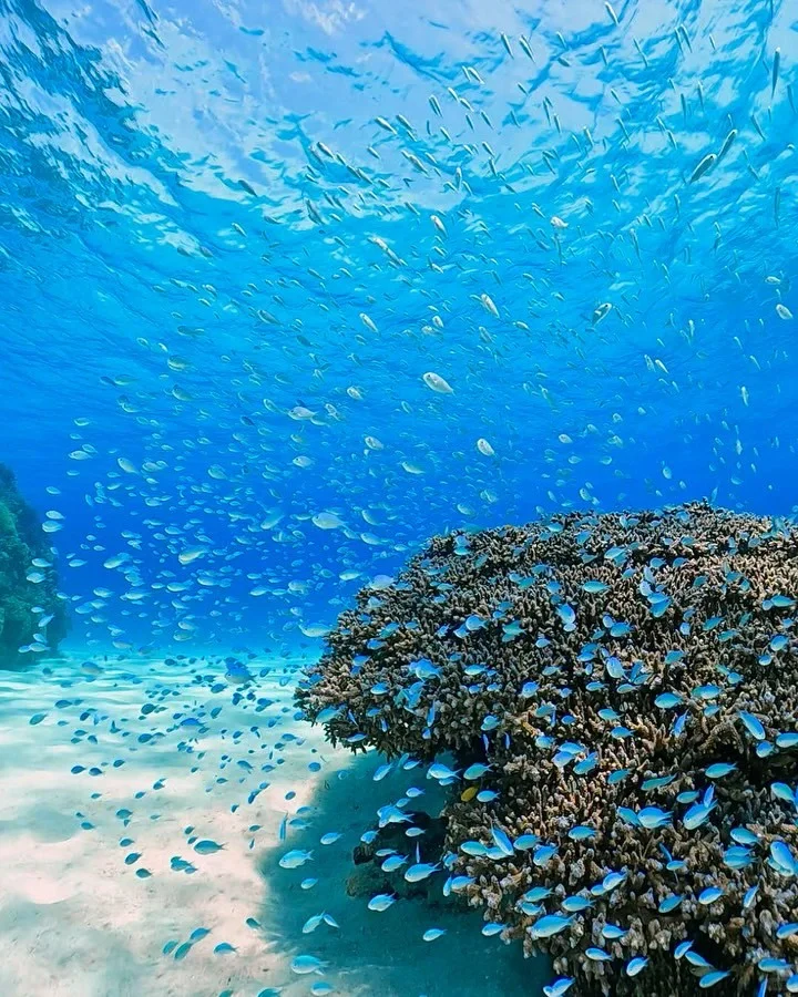 冲绳旅游必打卡的7个小众景点，玩得很惬意