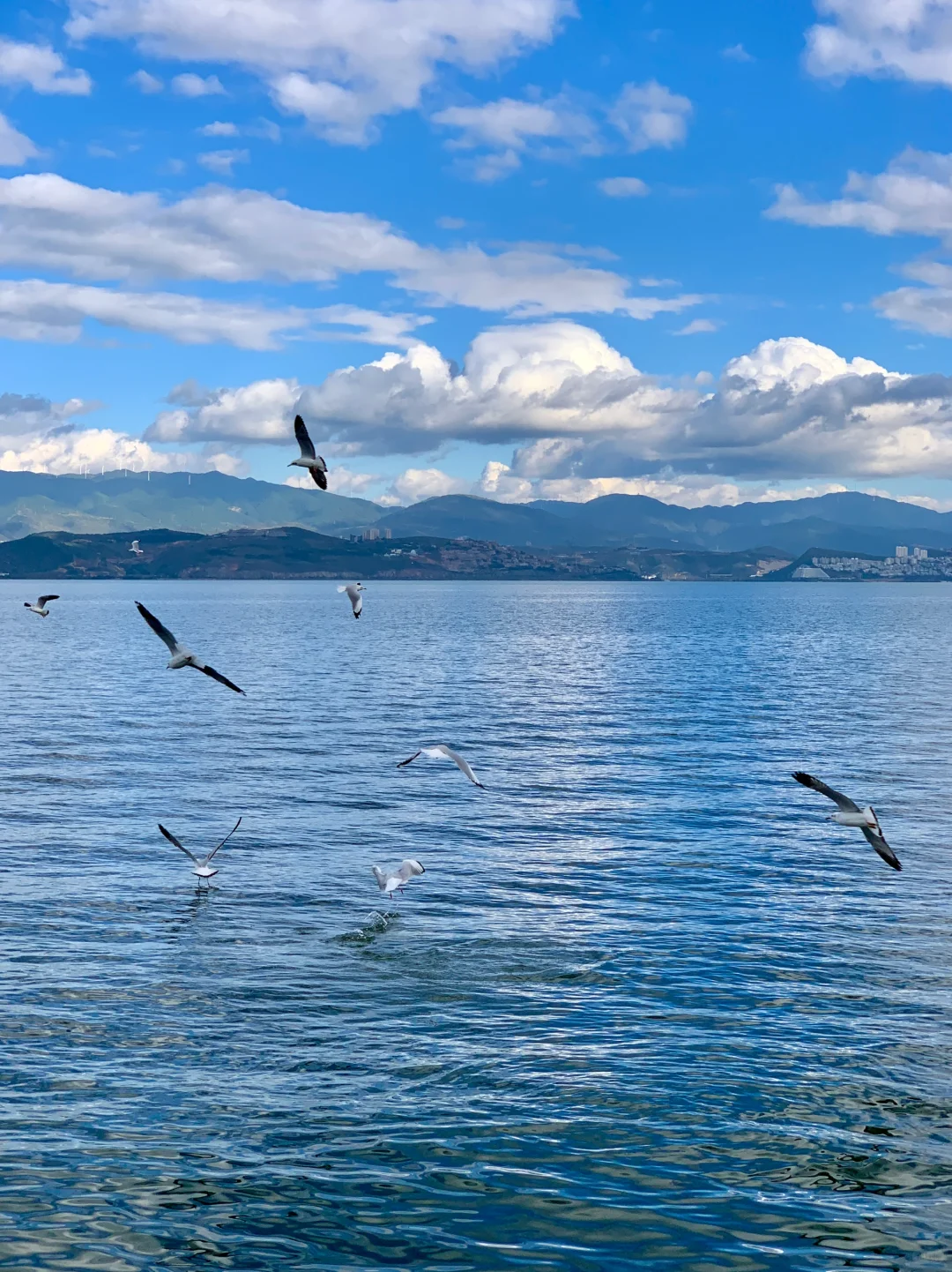 关于我一个人在大理和丽江旅行的花费!!!