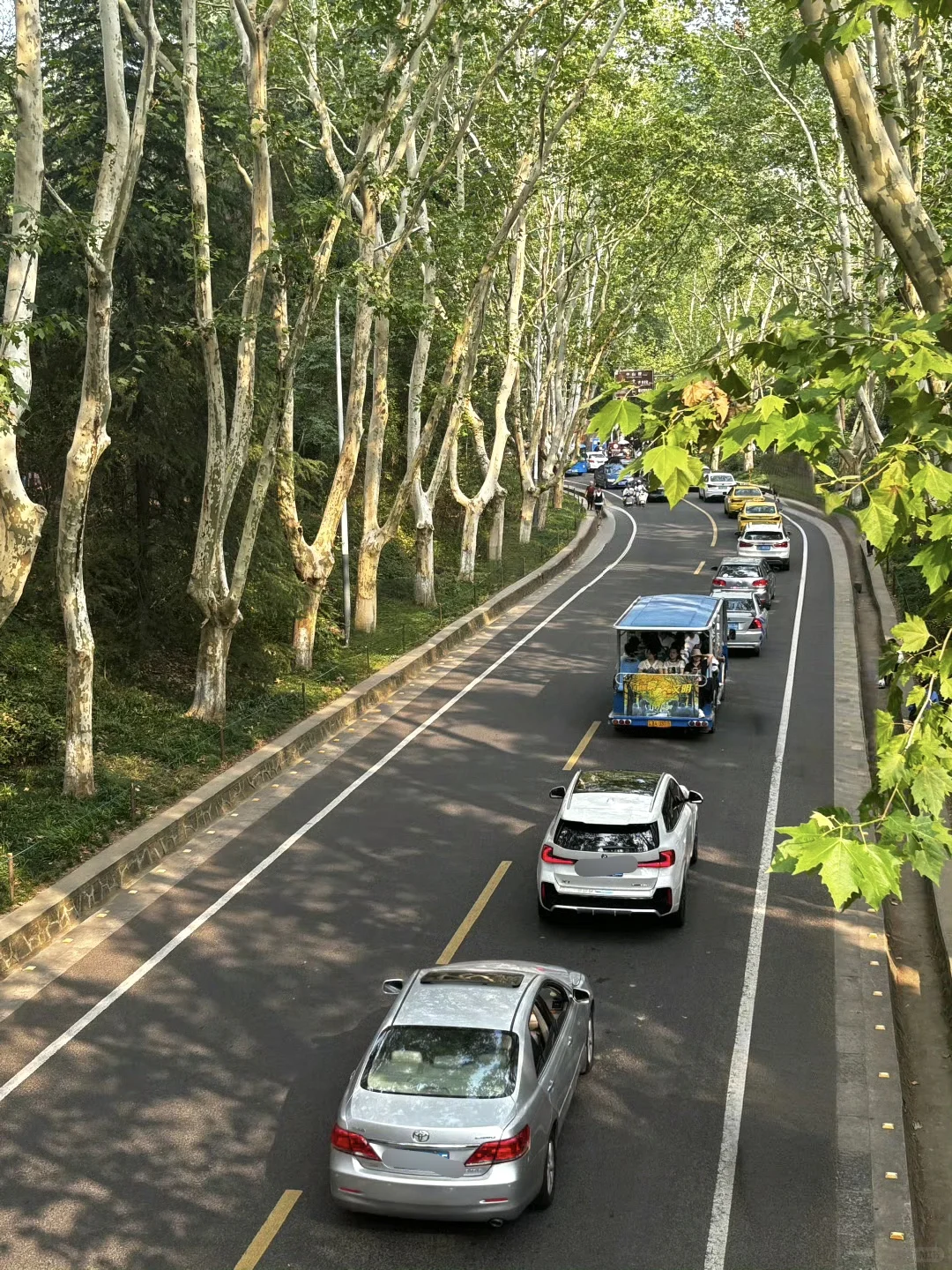 04女大📍济南出发一路向南玩转江浙沪