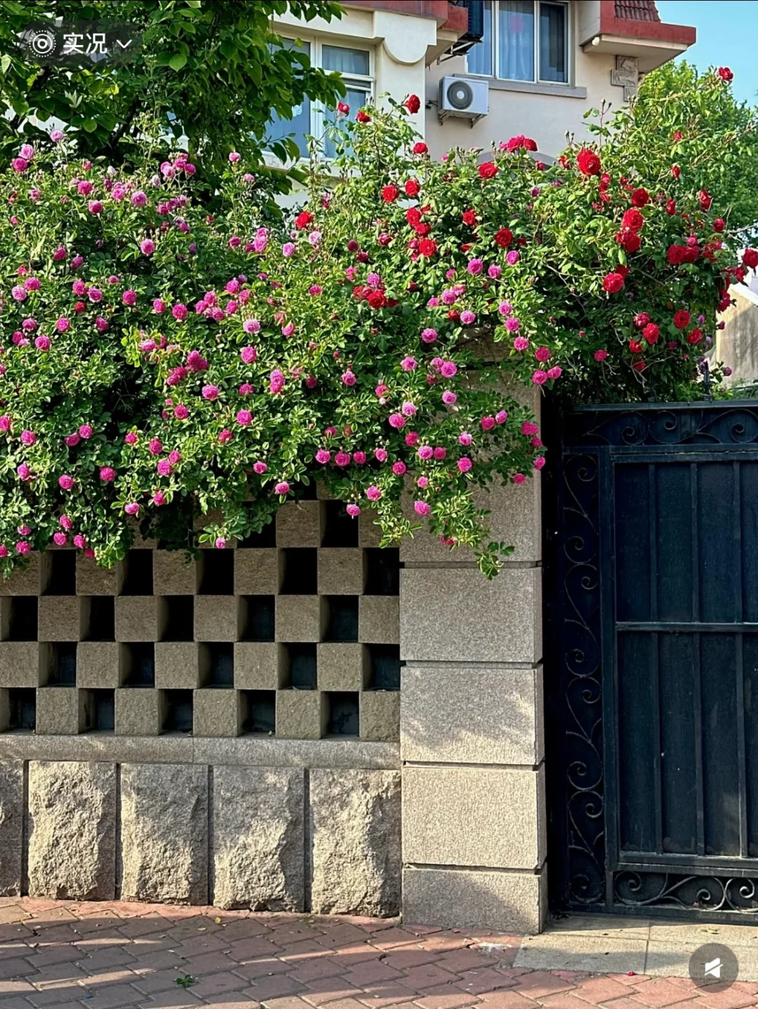 别再乱搜啦!这才是青岛旅游天花板攻略