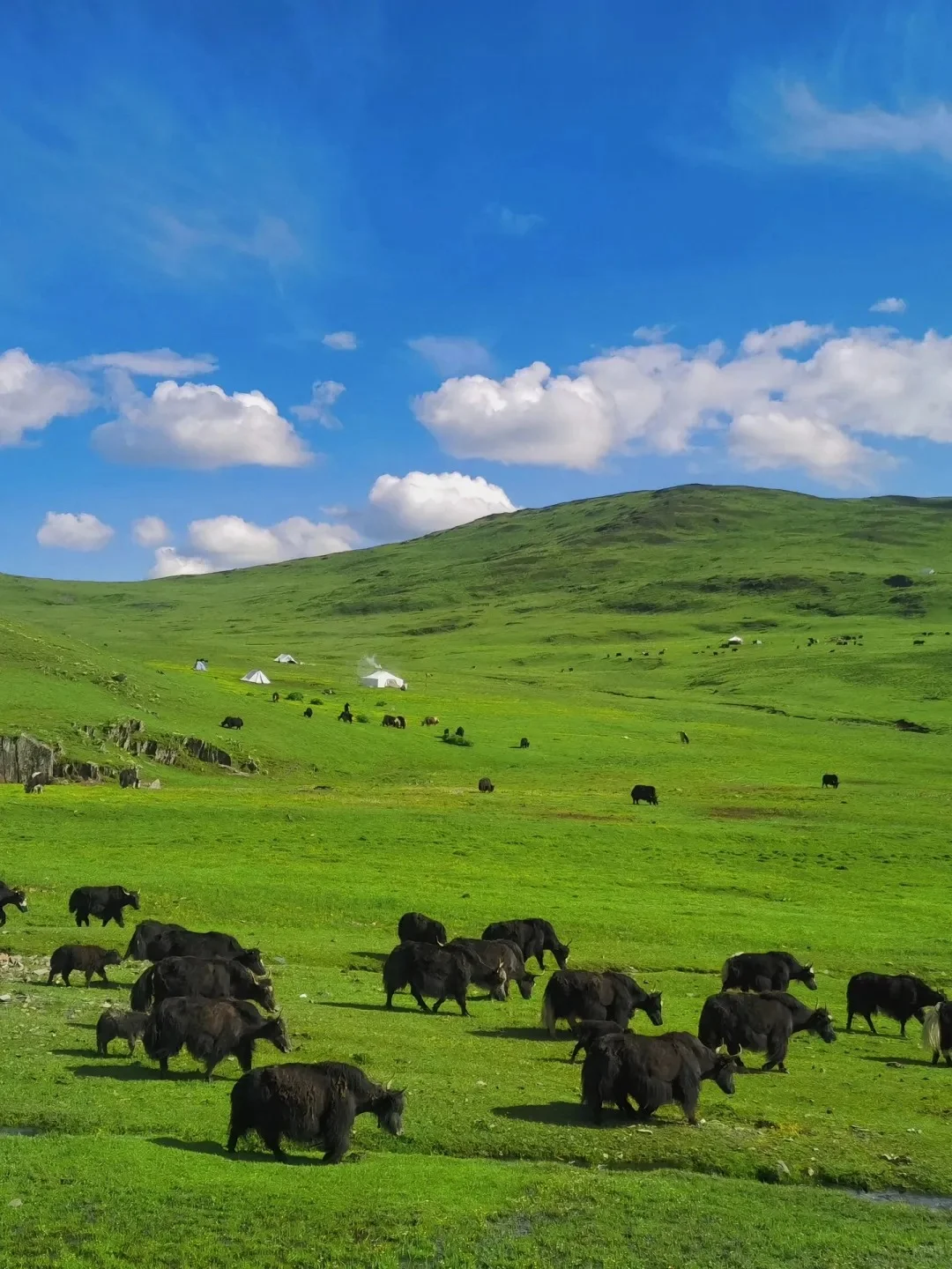 不在瑞士...6-8月的川西🏔️!真比瑞士还震撼
