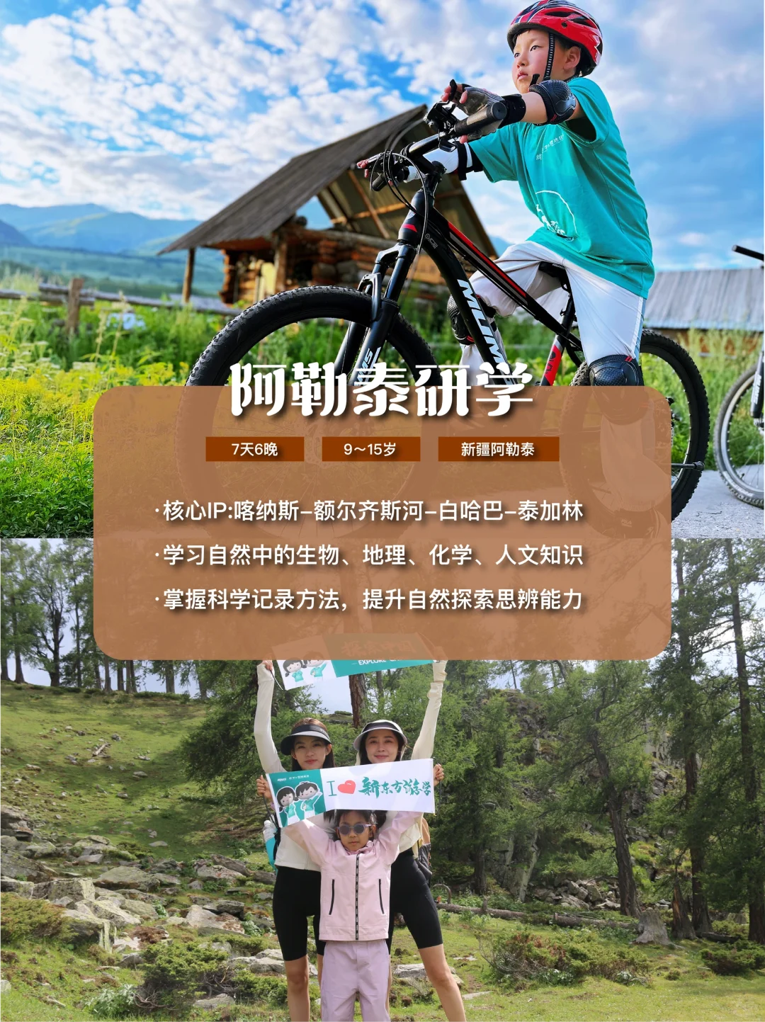 2025新东方暑假🔥国内研学热门路线大揭秘