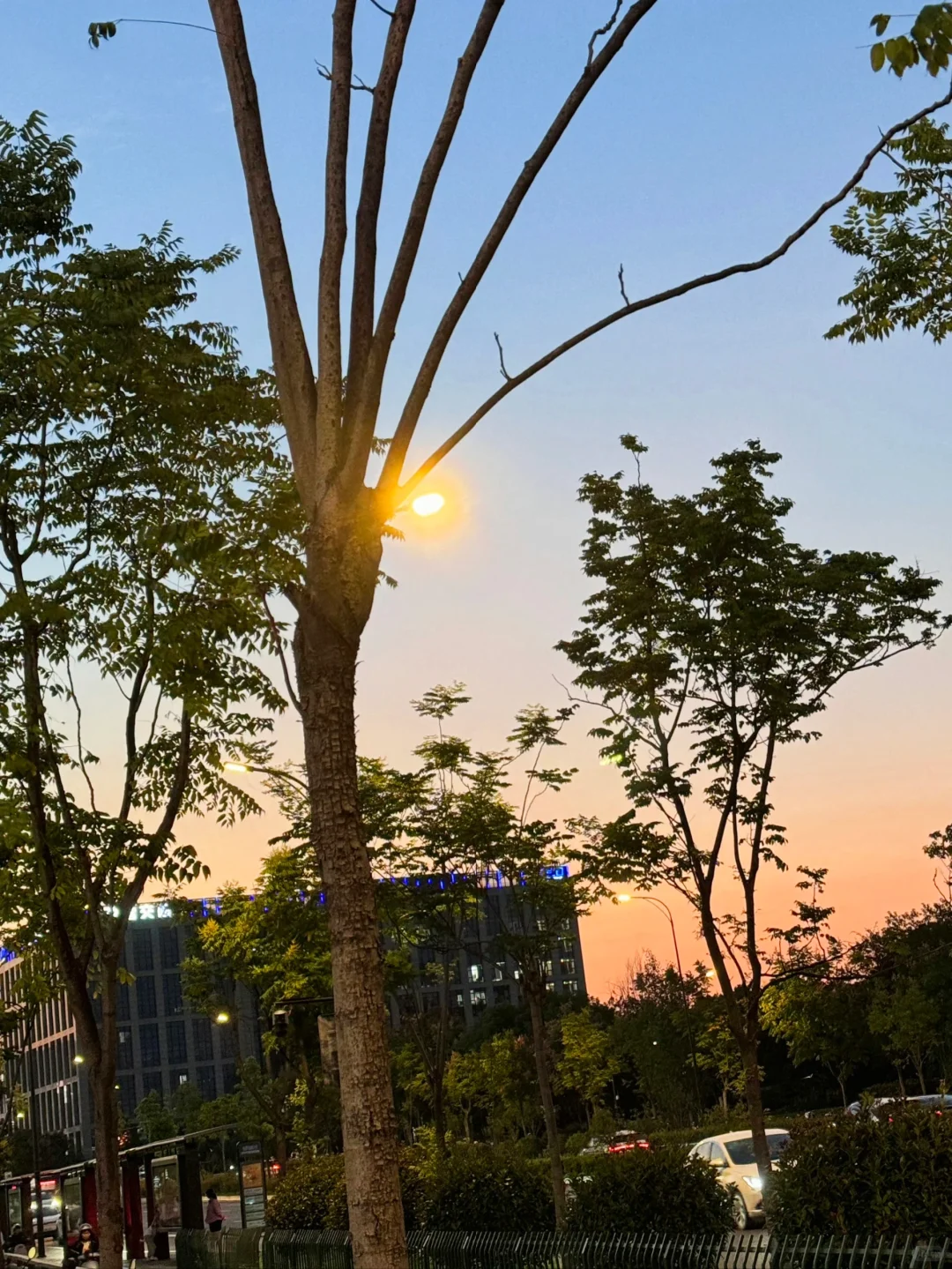 04女大📍济南出发一路向南玩转江浙沪