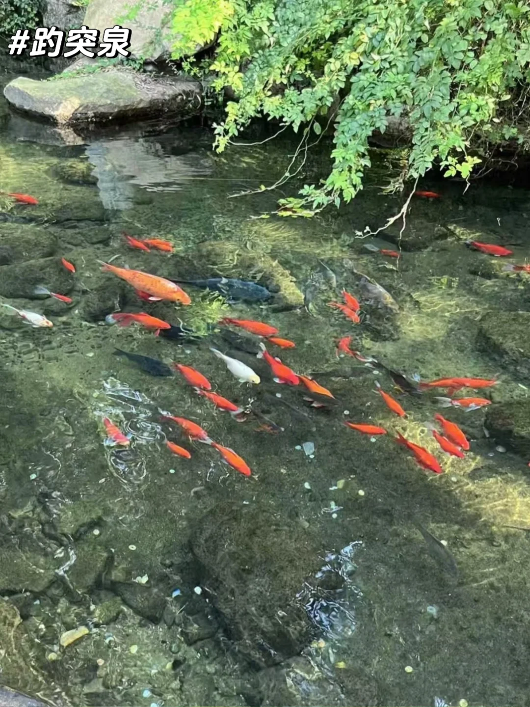 周末48h逃离天津→→→📍济南