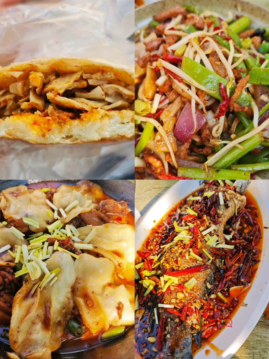 04女大📍济南出发一路向南玩转江浙沪