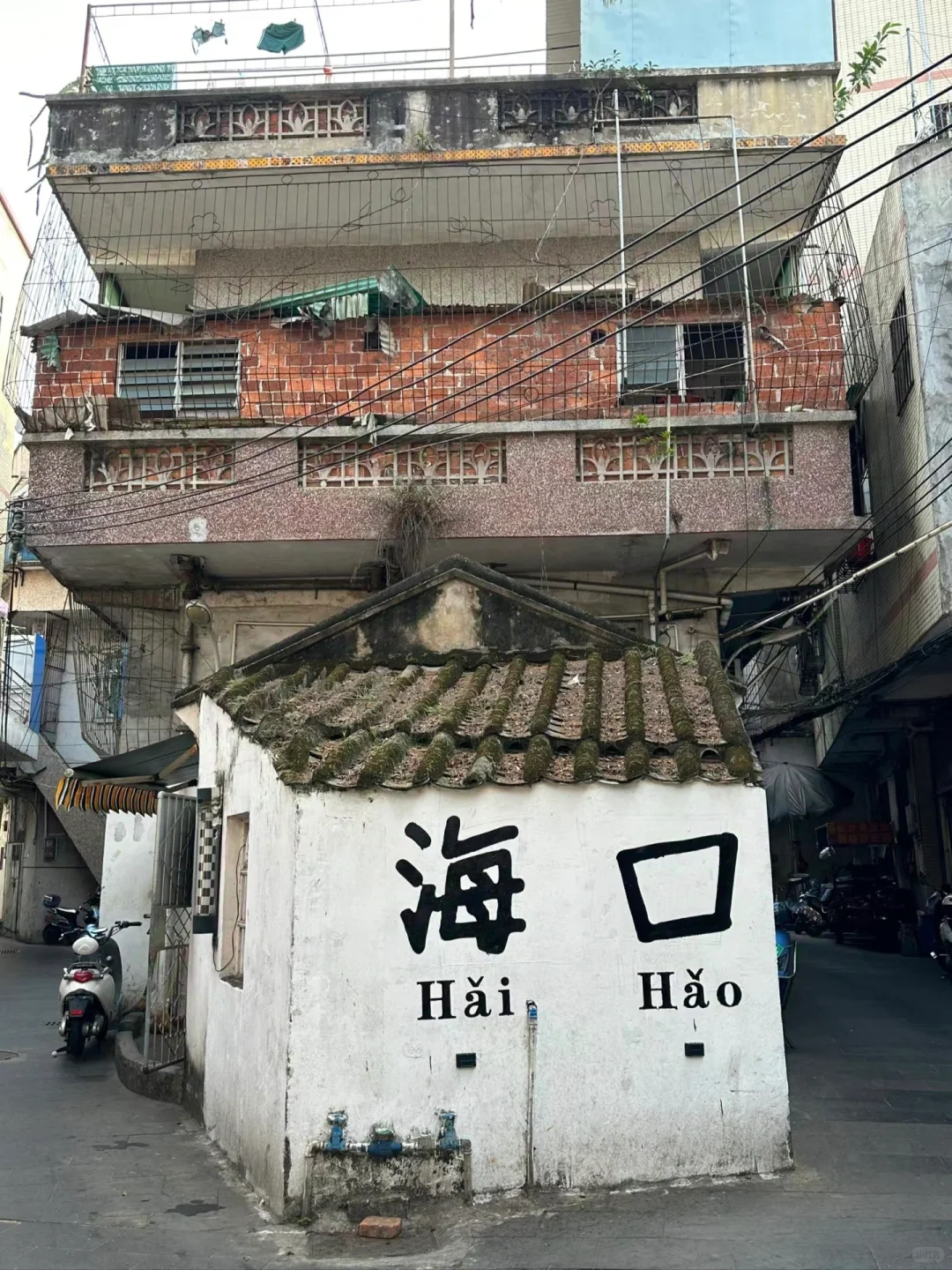 大学生穷游中国🇨🇳第三十三站海南海口