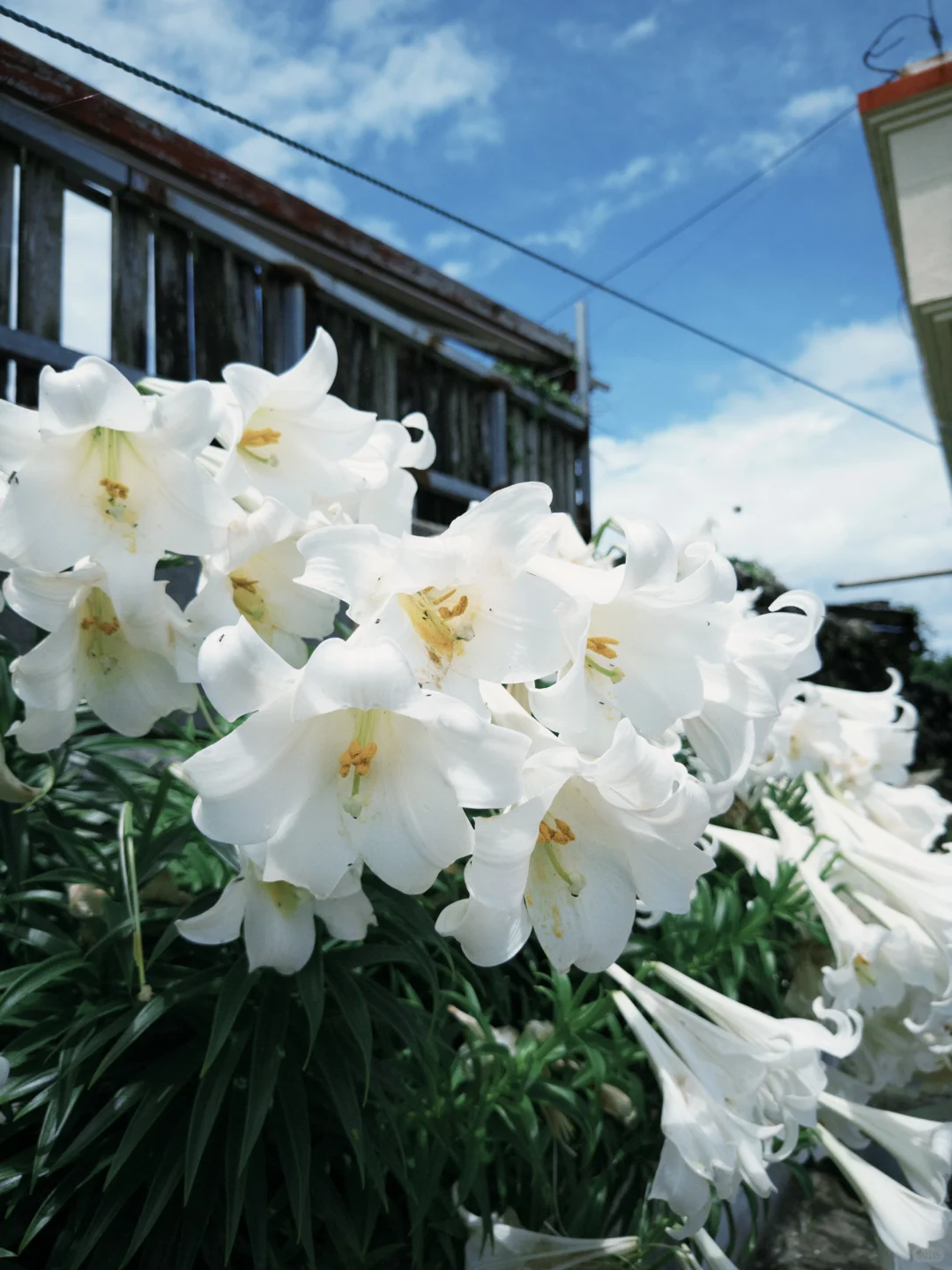 牛岛一定要做好防晒！！另外一日游团感受