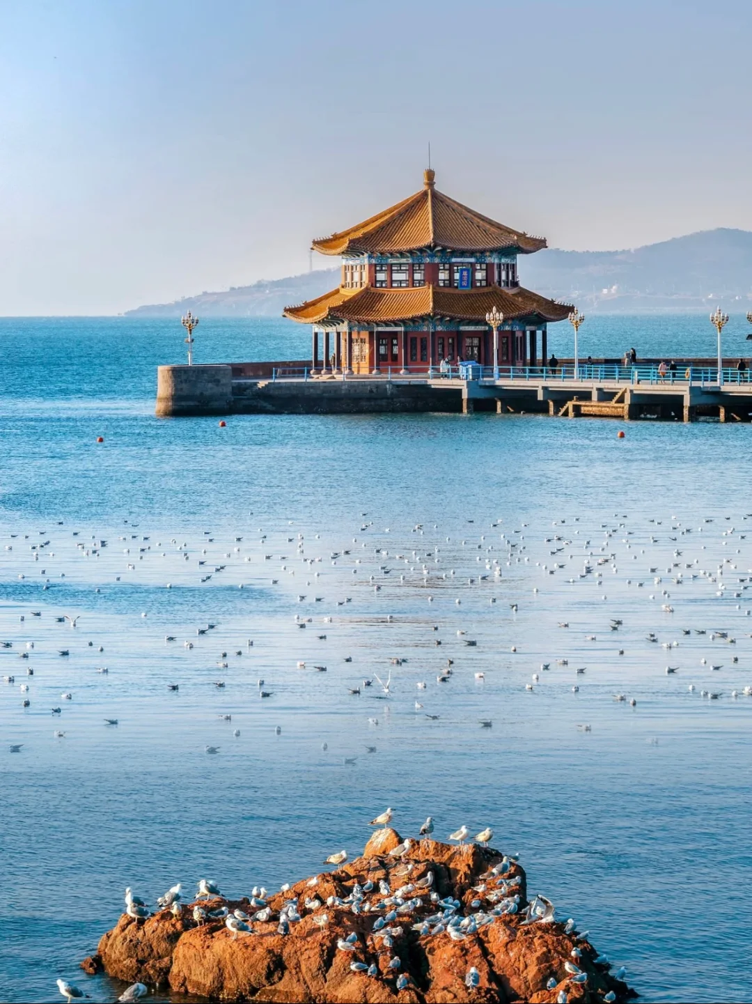 别再乱搜啦!这才是青岛旅游天花板攻略