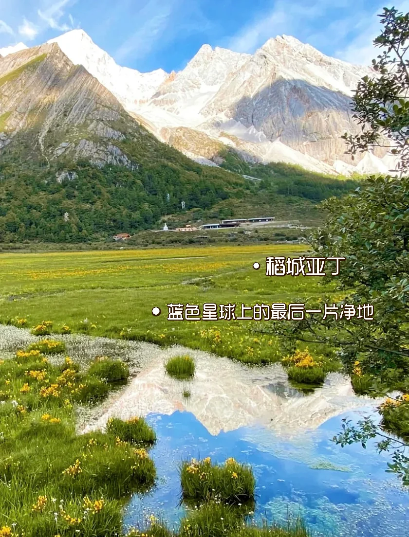 四川‼️你到底还有多少惊喜是我不知道的