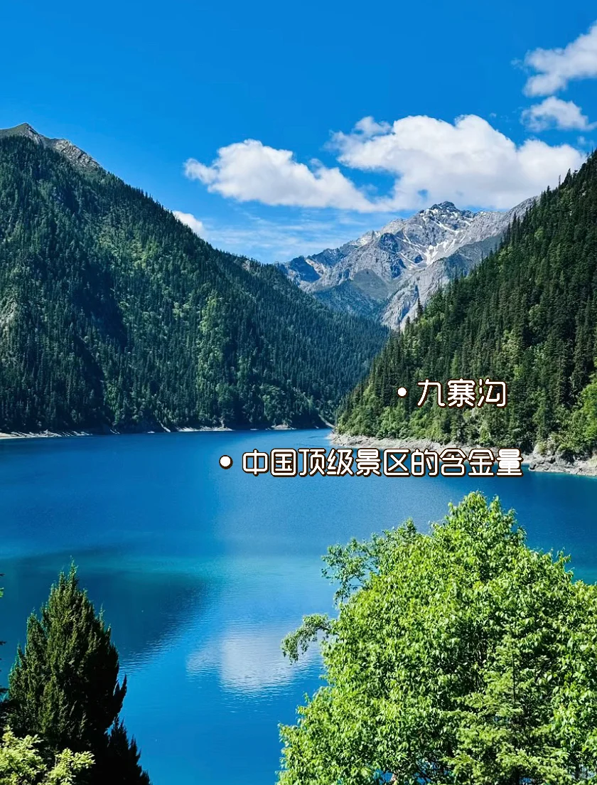 四川‼️你到底还有多少惊喜是我不知道的