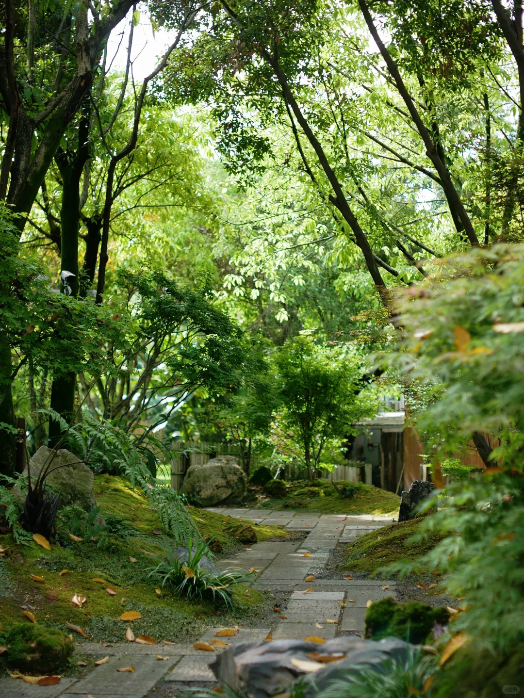 暑假来成都，附详细游玩攻略给大家