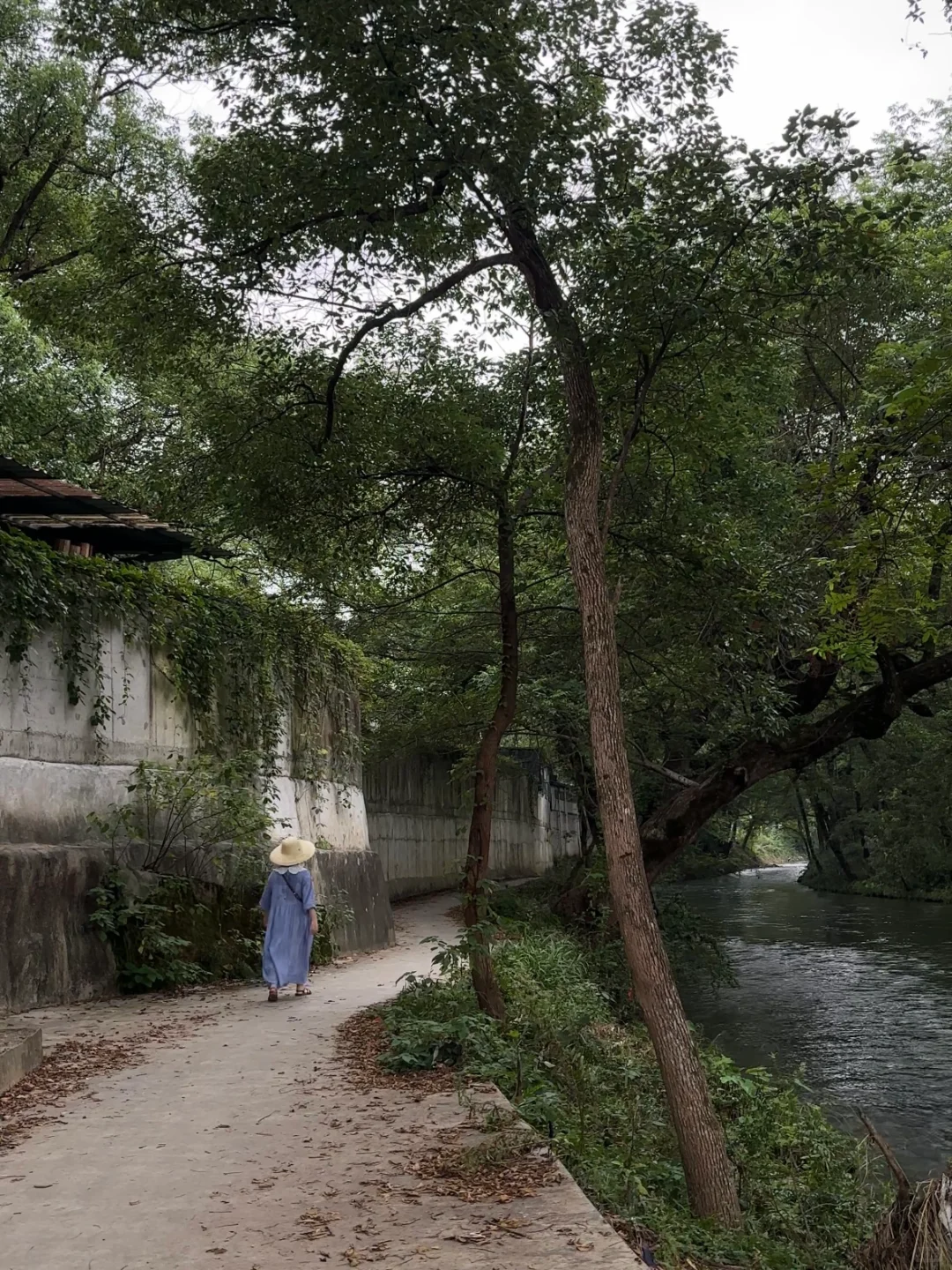 景德镇的理想夏日🫧🍑