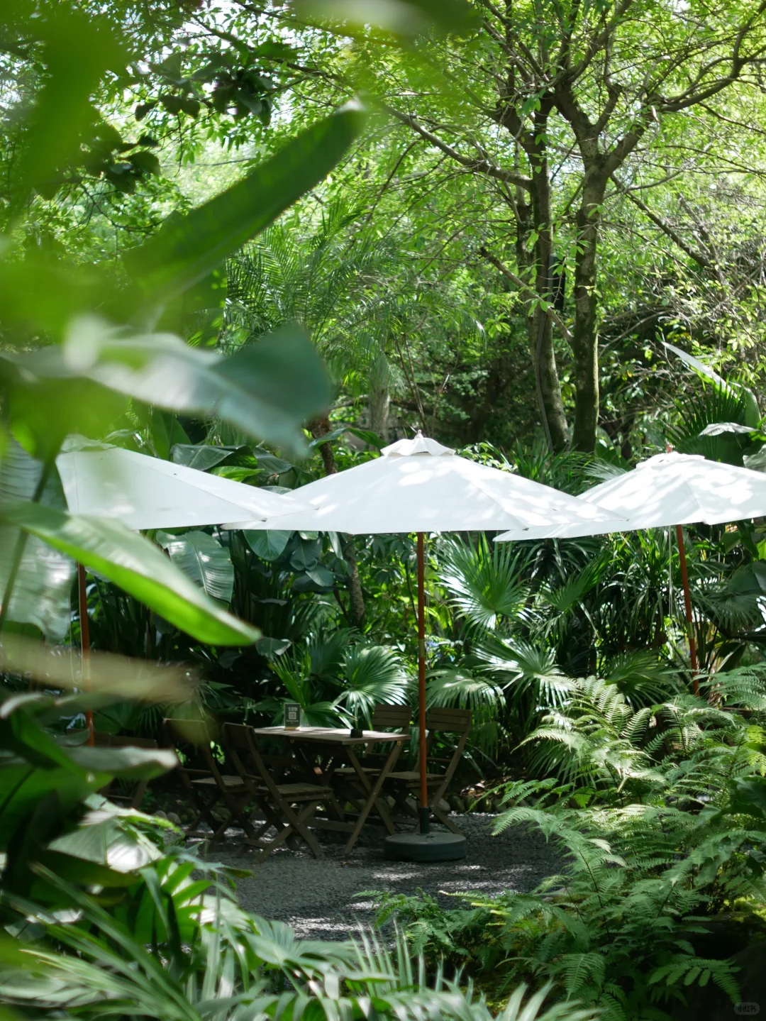 暑假来成都，附详细游玩攻略给大家