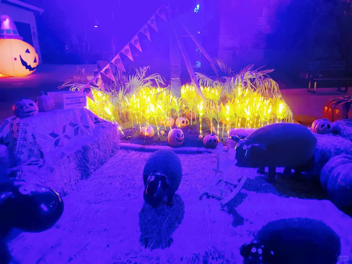 🔥🔥🔥这个暑假快不来西安欢乐谷一定会后悔