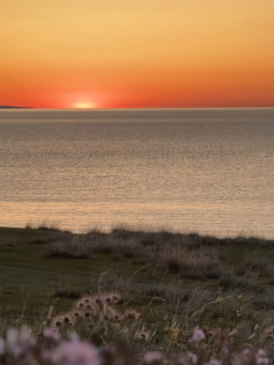 内蒙古丨呼伦贝尔成吉思汗拴马桩 chapter.1