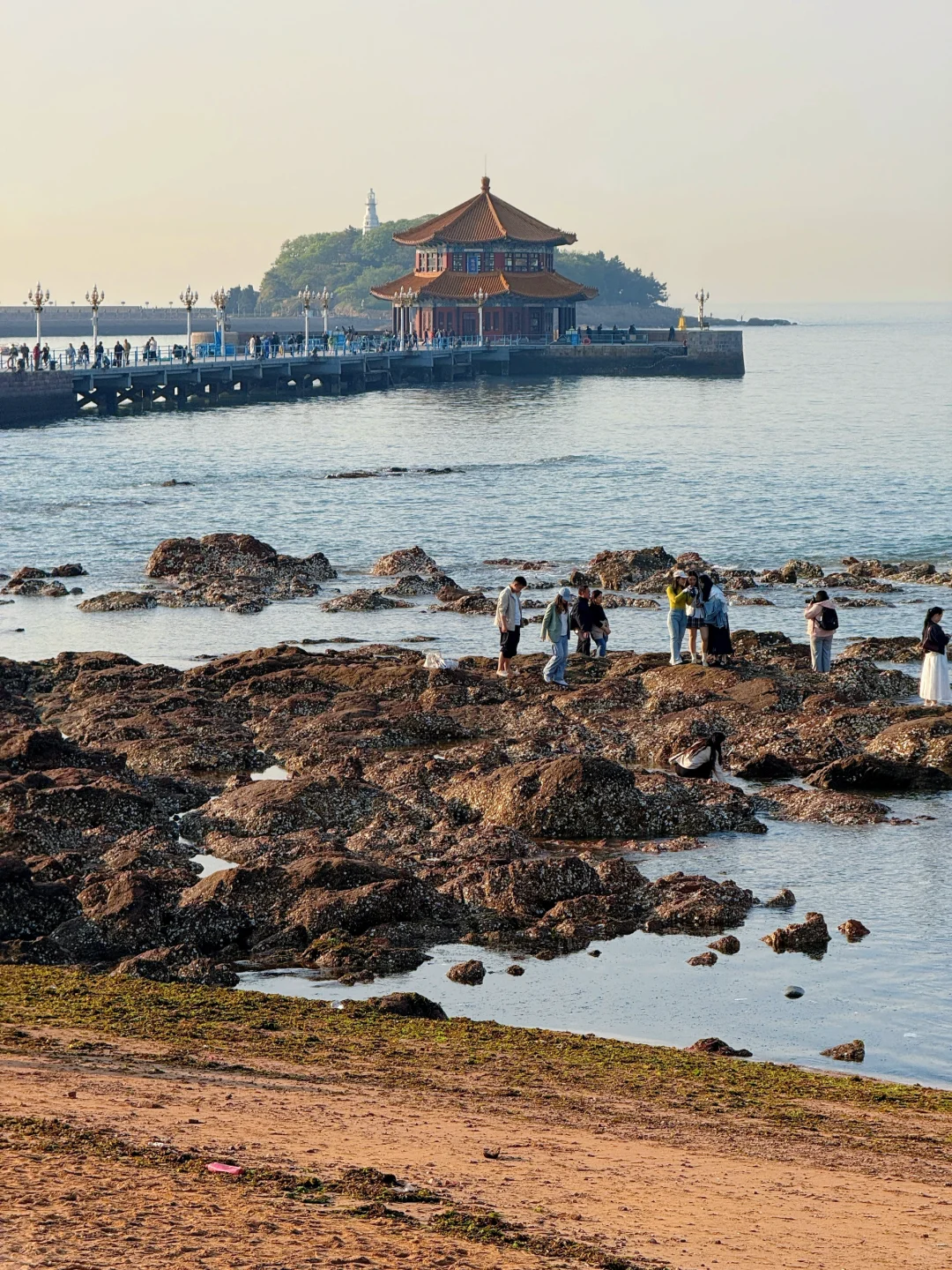 青岛已回‼花6小时总结的旅游攻略😭听劝！