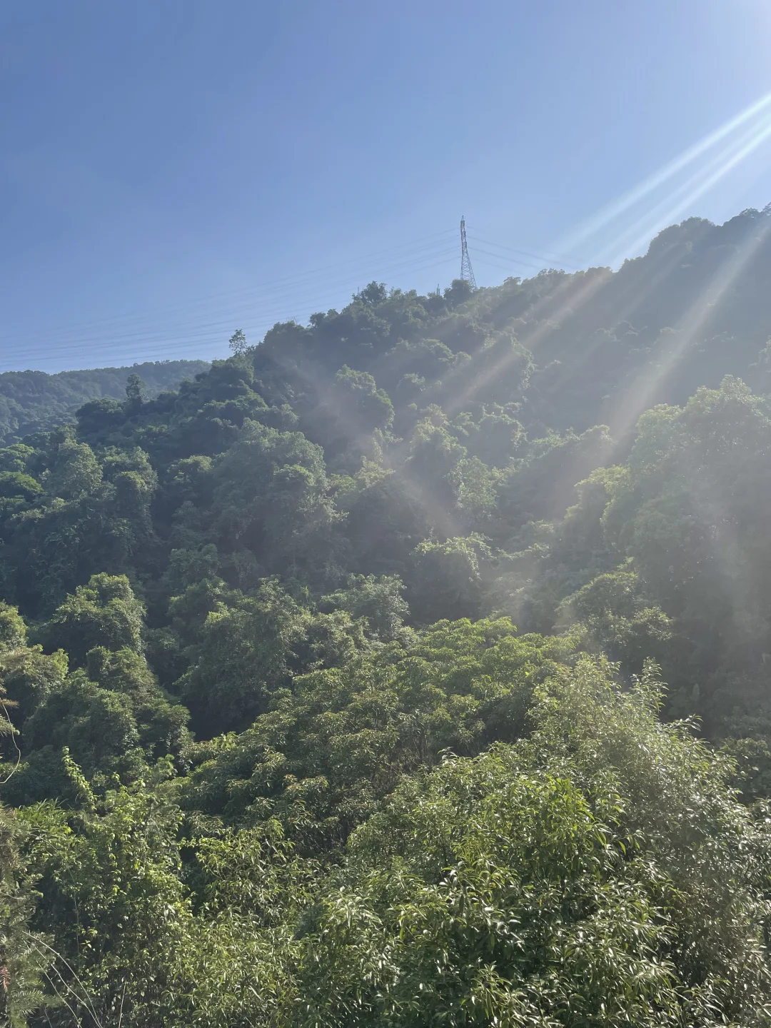 大自然~天然氧吧,专治“不开心”