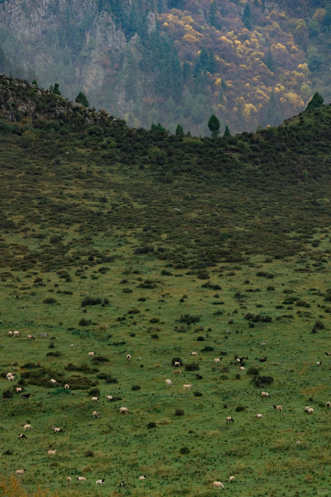 兰州怎么玩 这条绝美路线一定一定要去