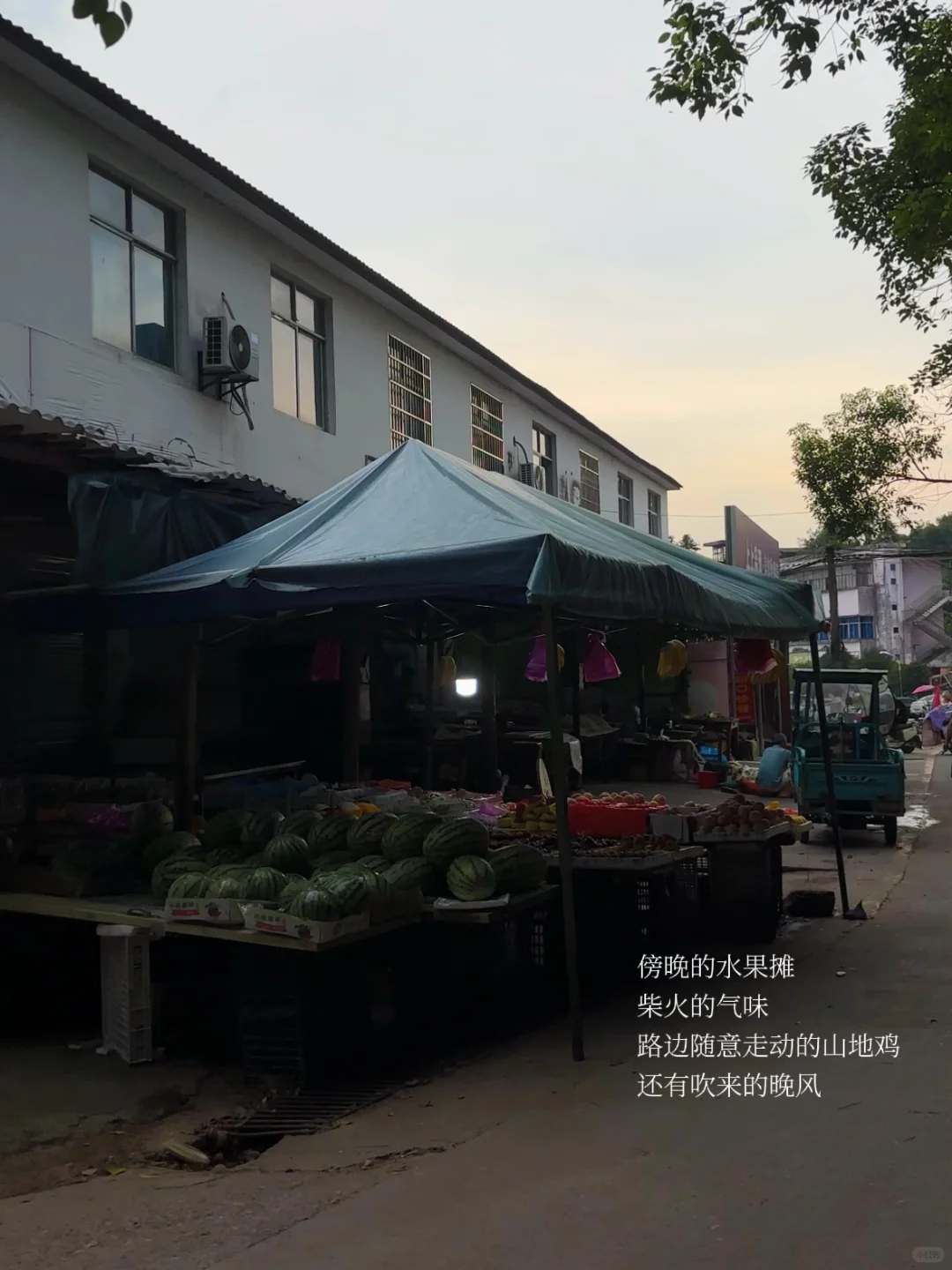 景德镇的理想夏日🫧🍑