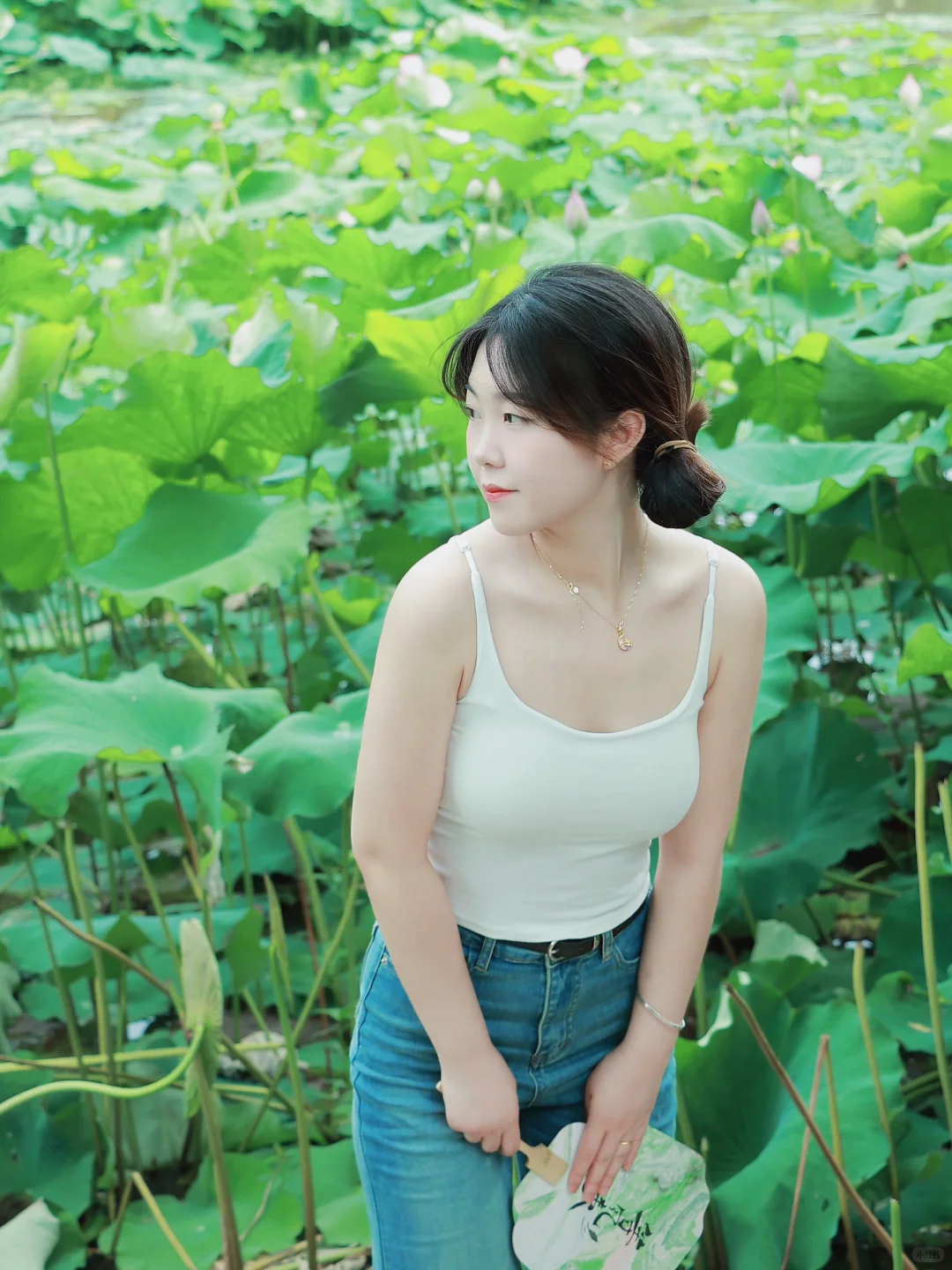 在荷塘里拍到了人生照片荷花池荷花