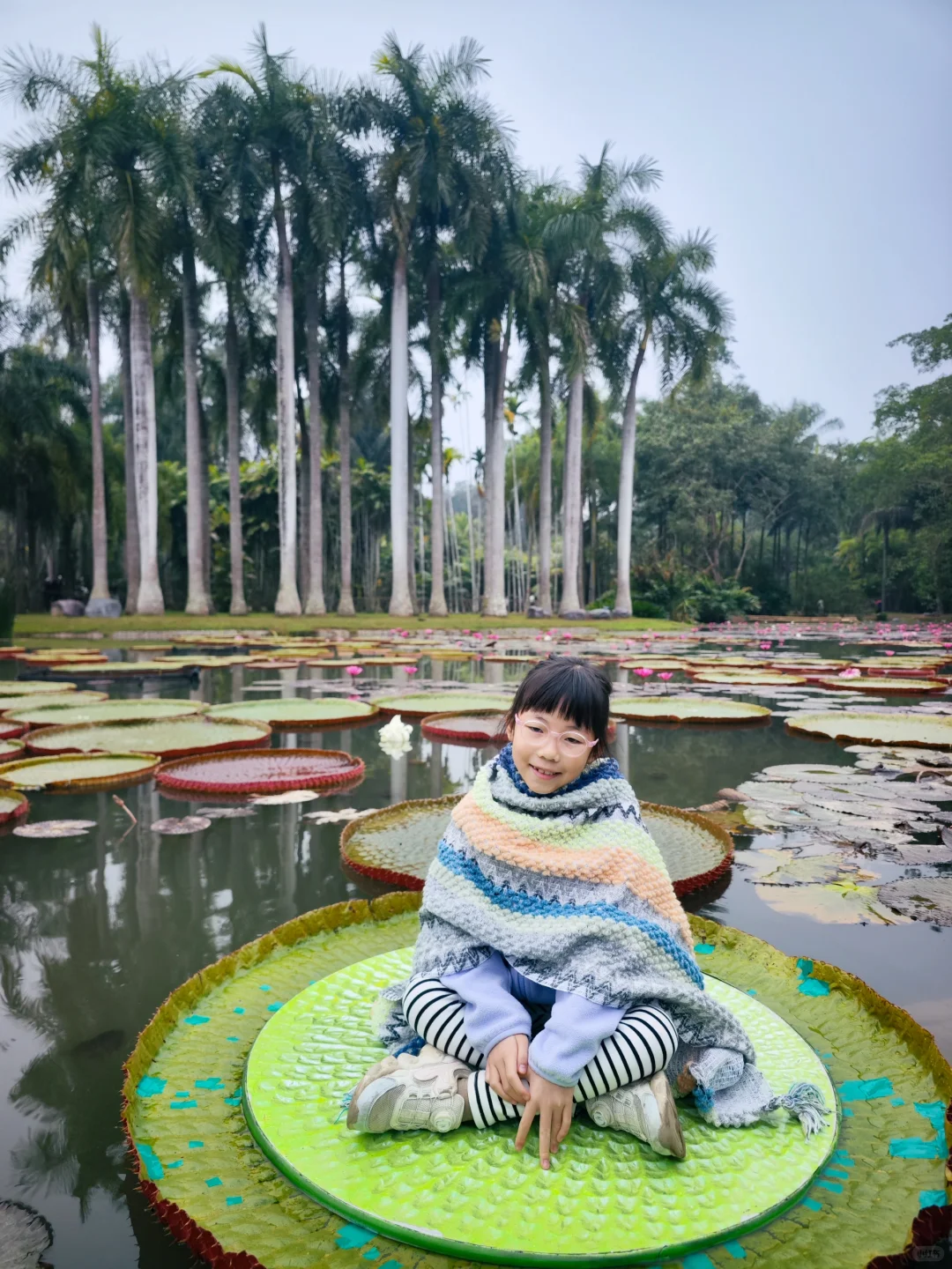 6年亲子游：娃眼里最好玩的6个地方