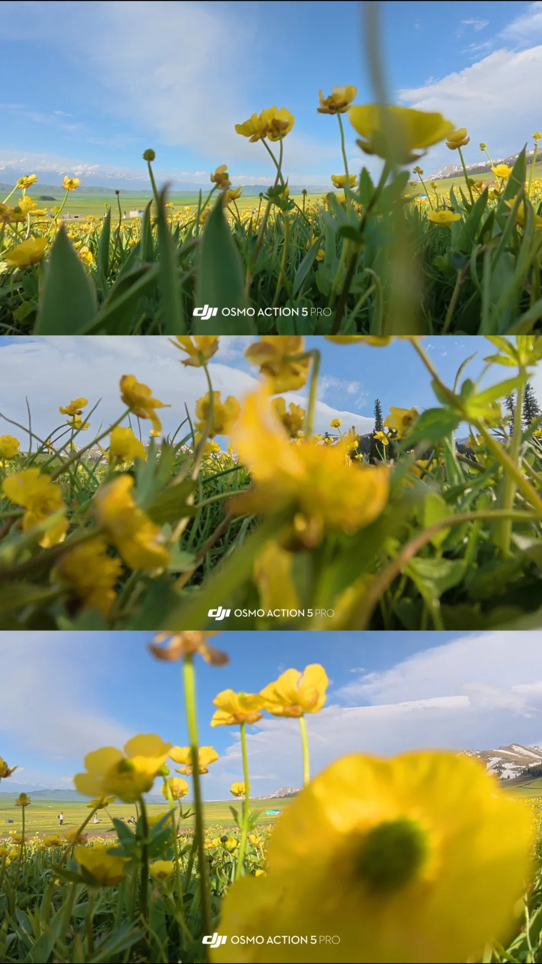 人均5000多,不早起不熬夜,详细路线攻略