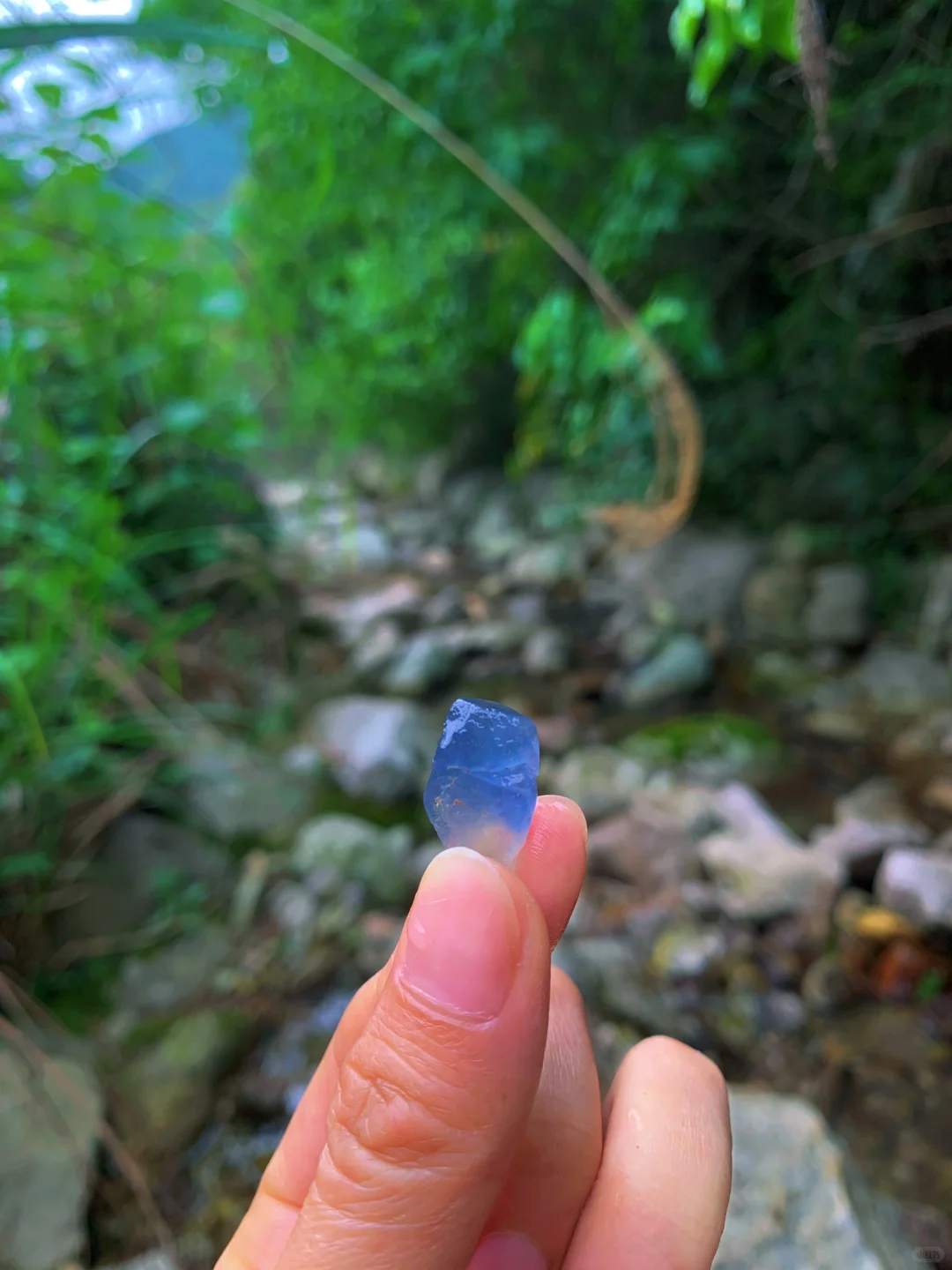 嵊州这里超多💎宝石可捡 | 亲子遛娃好去处