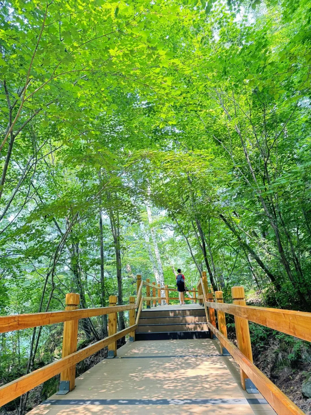 暑假第一件事：带娃去22℃的长白山过夏天