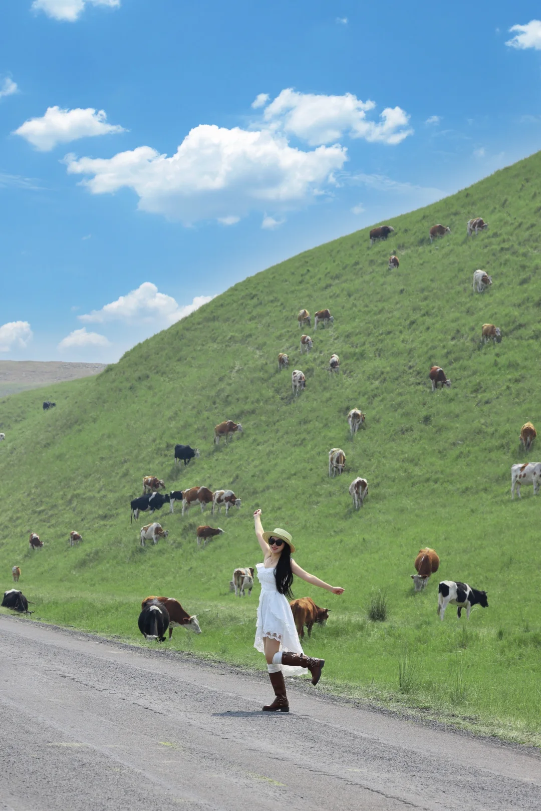 为了这18张图，带孩子飞了一趟呼伦贝尔草原