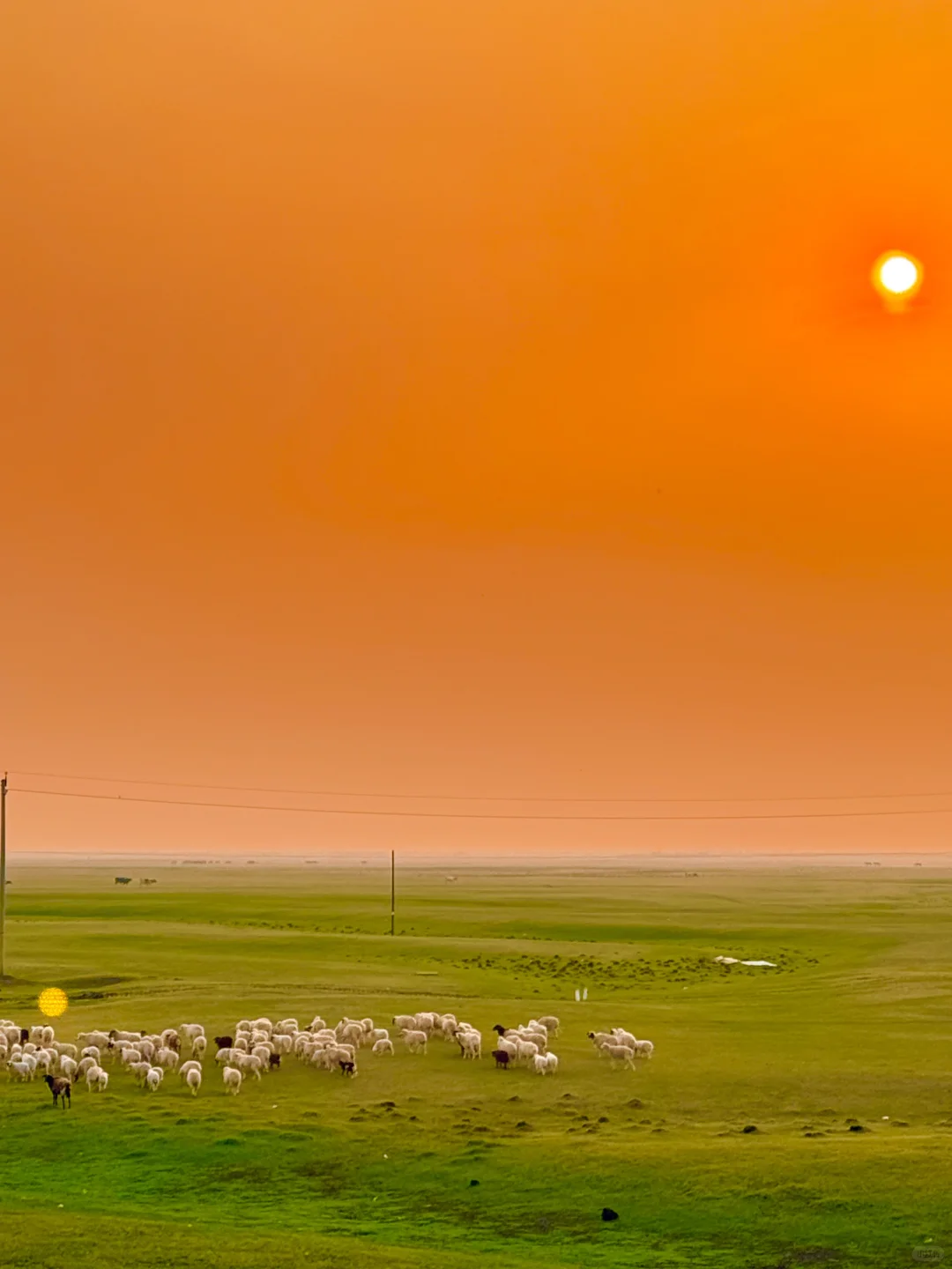 最终,我还是一个人“抛夫弃子”来到呼伦贝尔