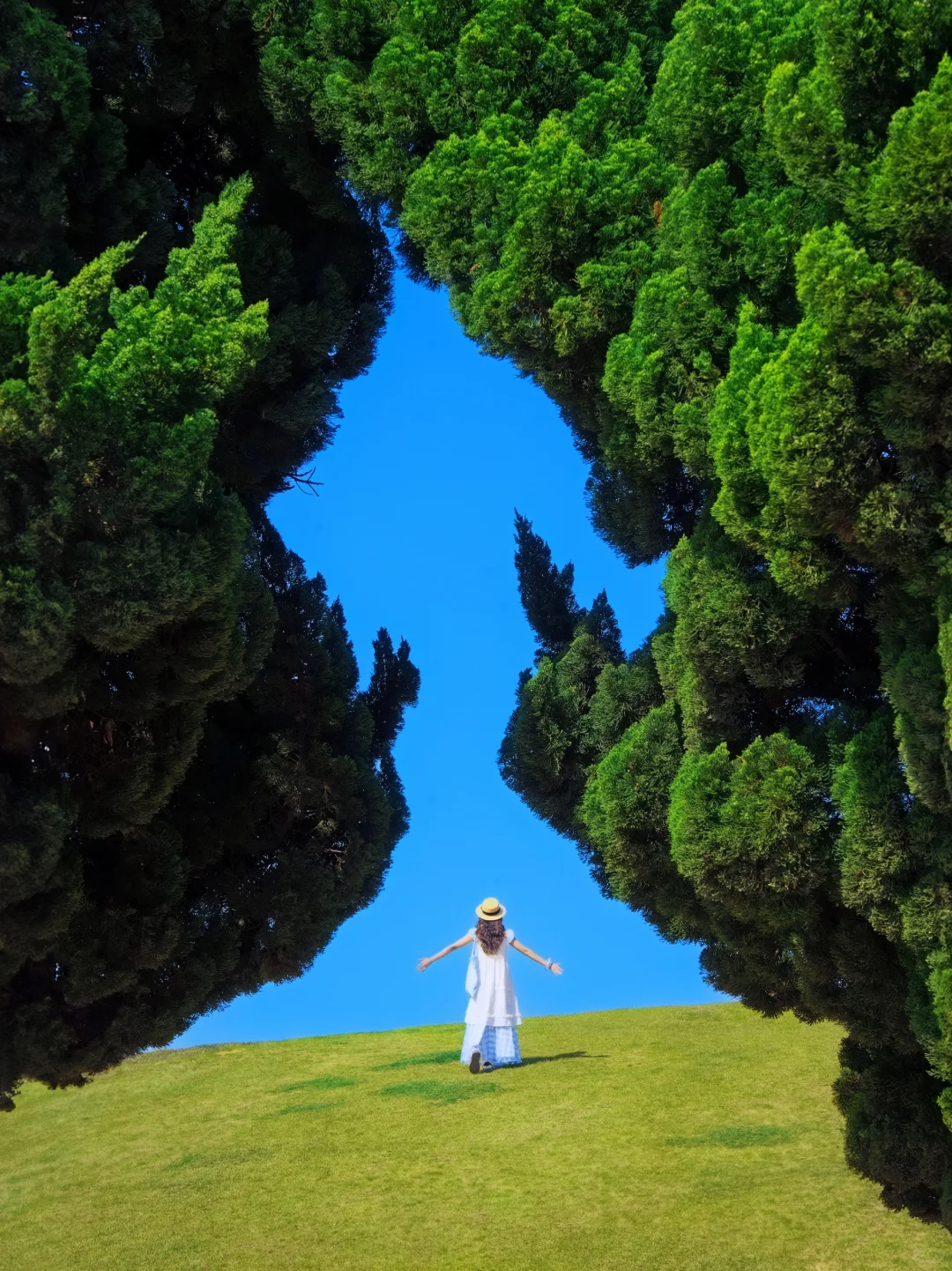 迄今为止，我最想定居的滨海城市就是它！！