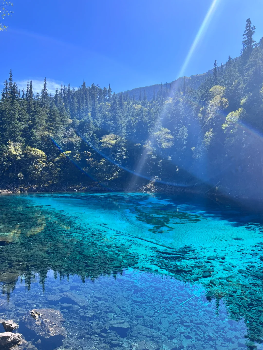 在九寨沟💙见证了一场蓝色的盛宴