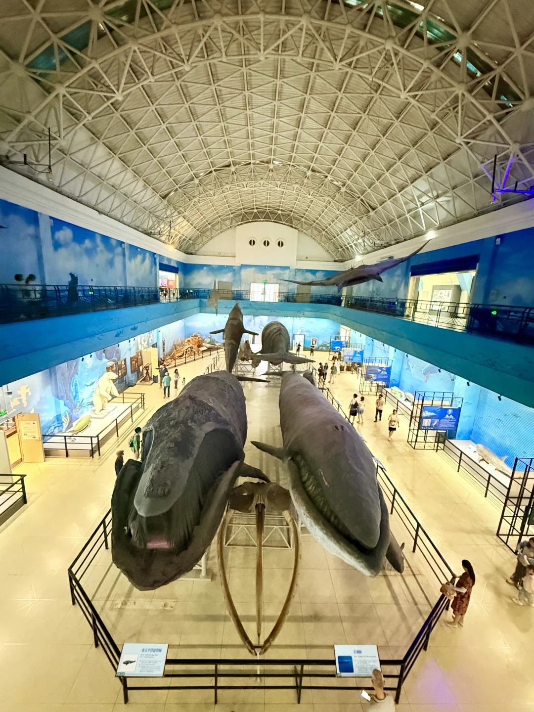 大连刚回来！18张live图不足以表现她的美！！