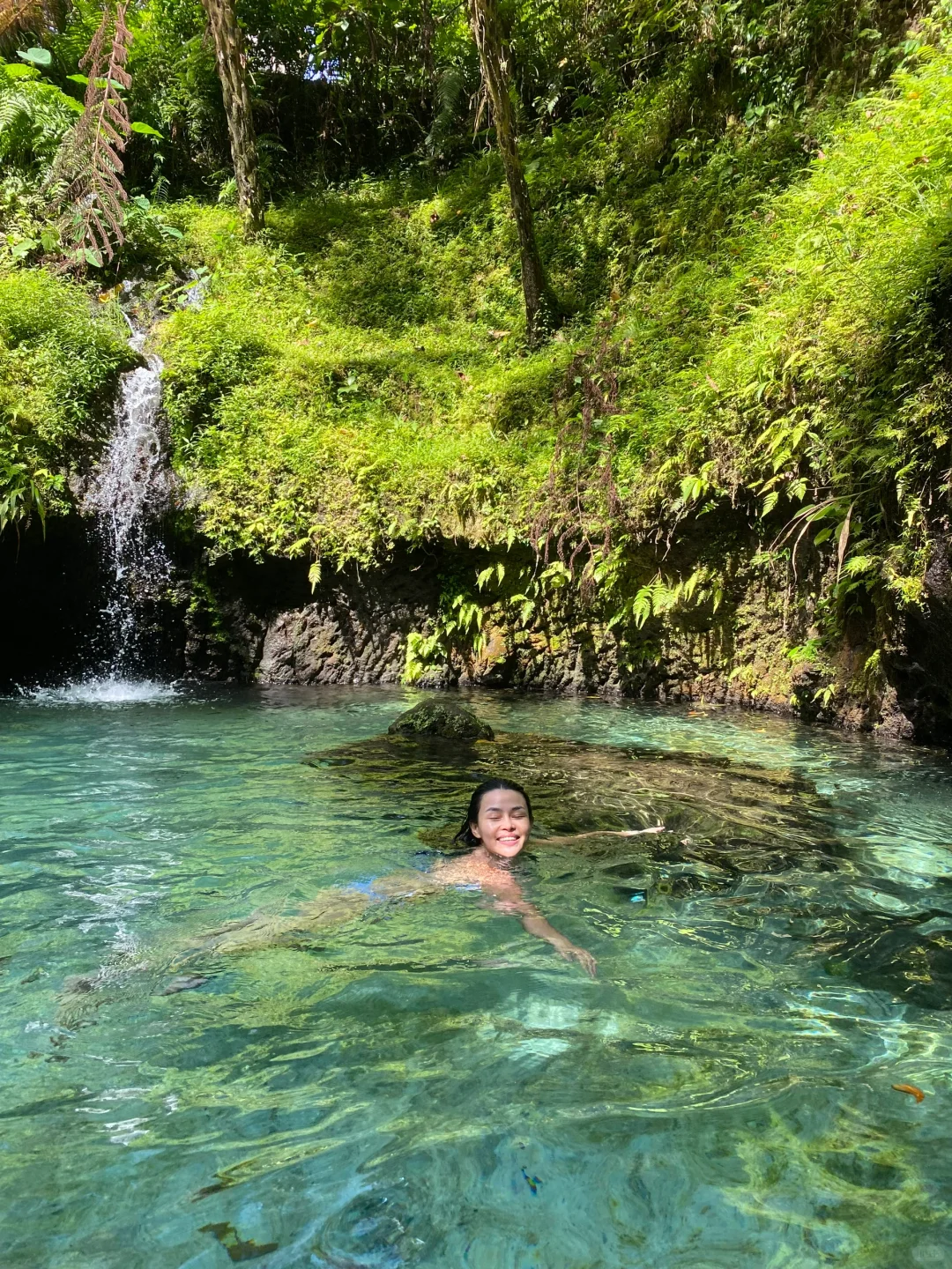 🌸误入人间仙境🍃