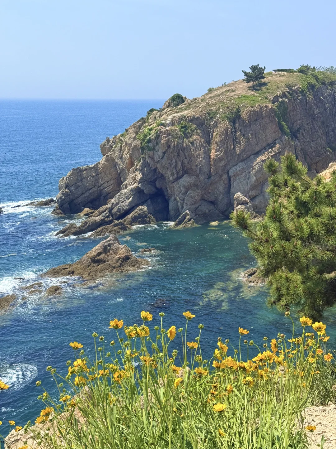 大连刚回来！18张live图不足以表现她的美！！