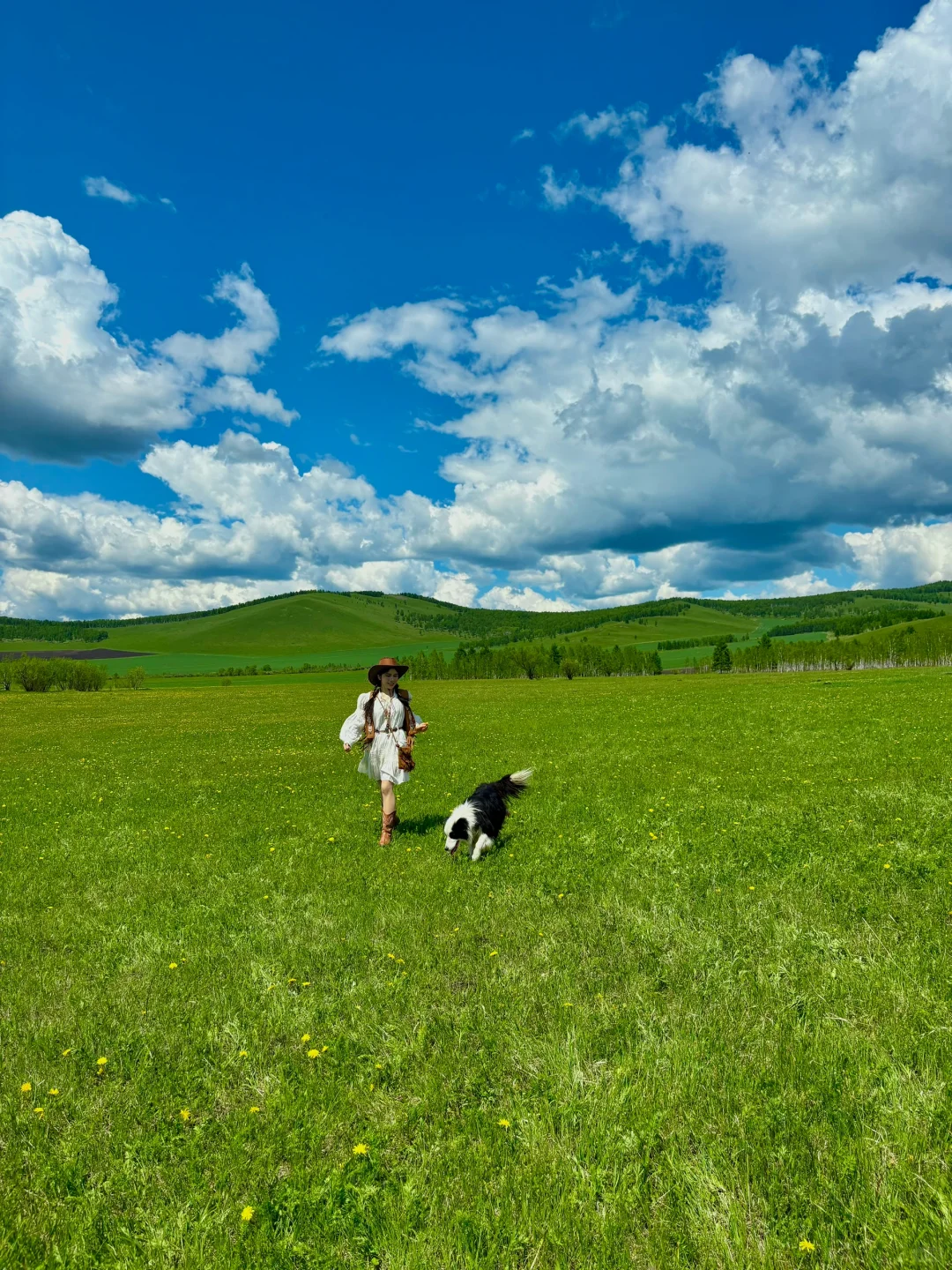 用18张live图打开呼伦贝尔的夏天，附路线🗺