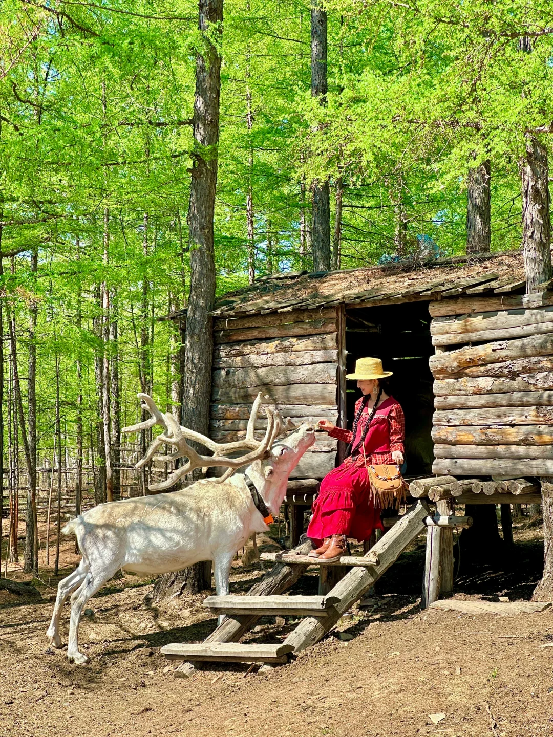 为了这18张live图，专门飞了趟呼伦贝尔…